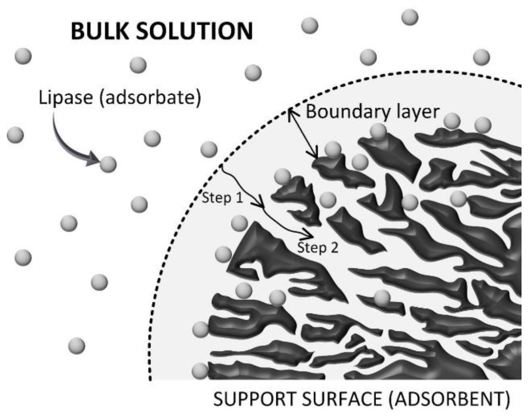 Catalysts 12 01412 g003