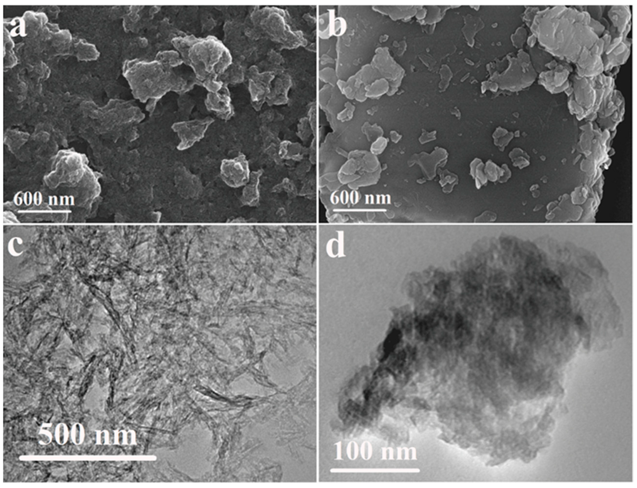 Catalysts 12 01416 g001