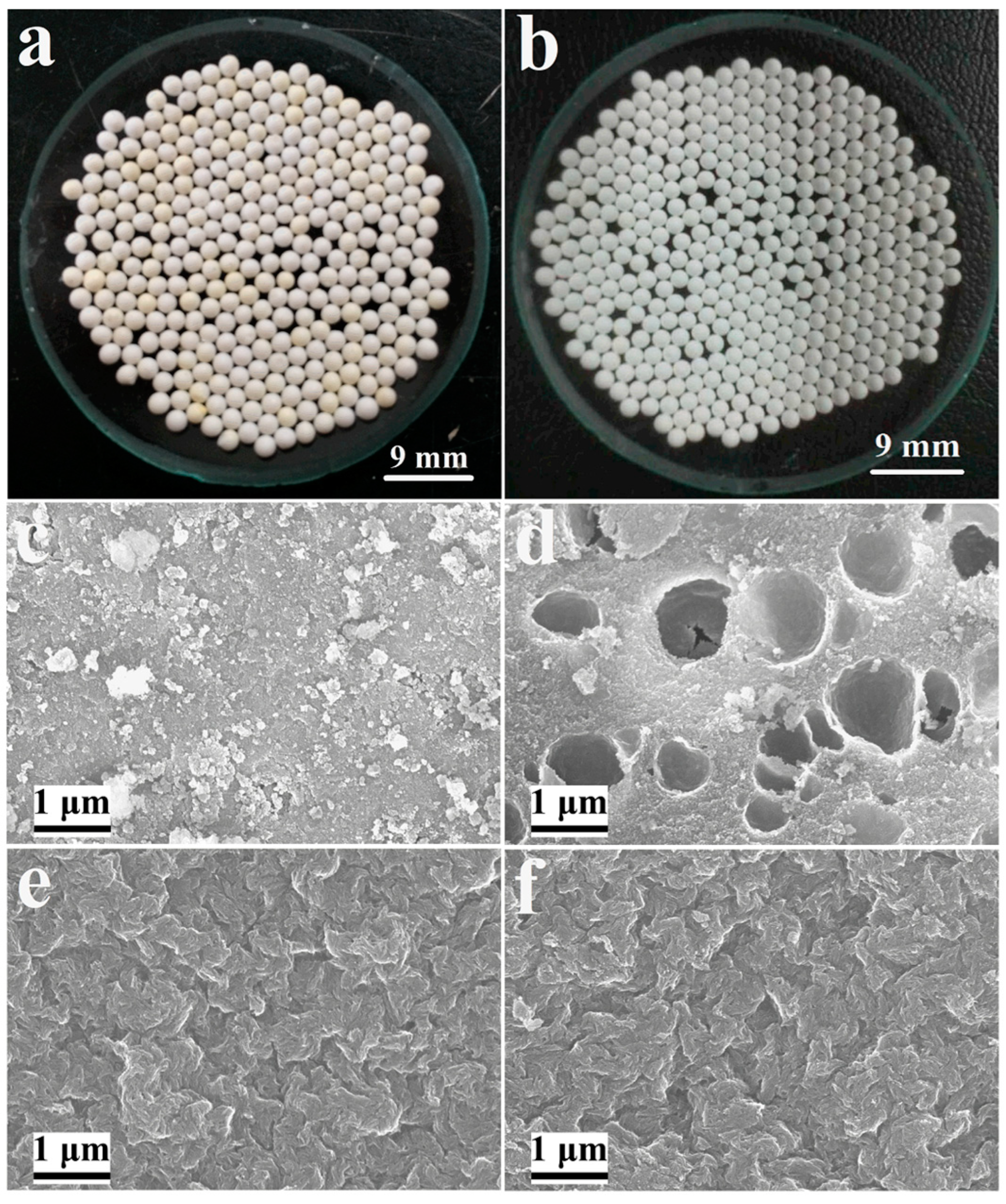 Catalysts 12 01416 g004