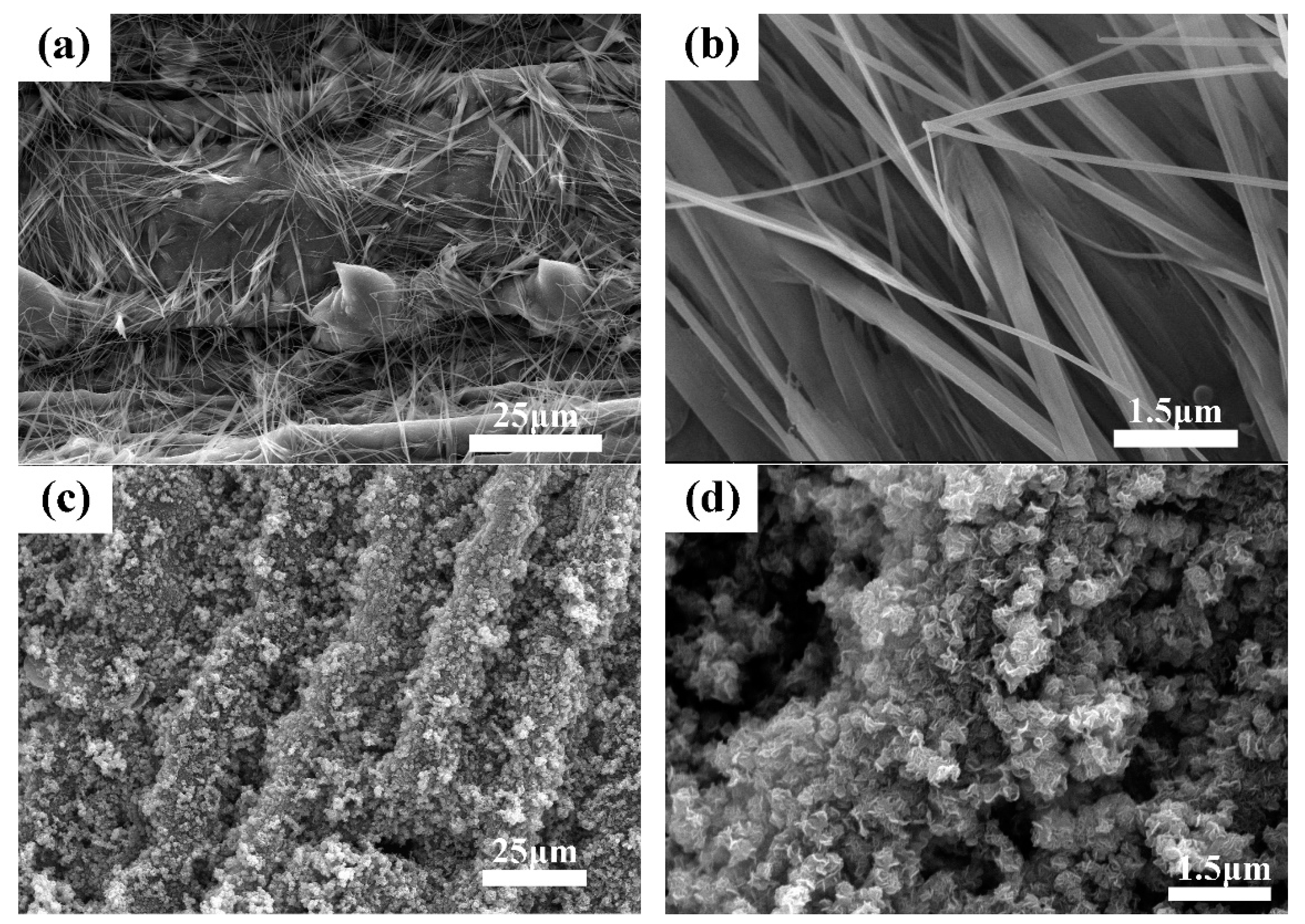 Catalysts 12 01423 g003