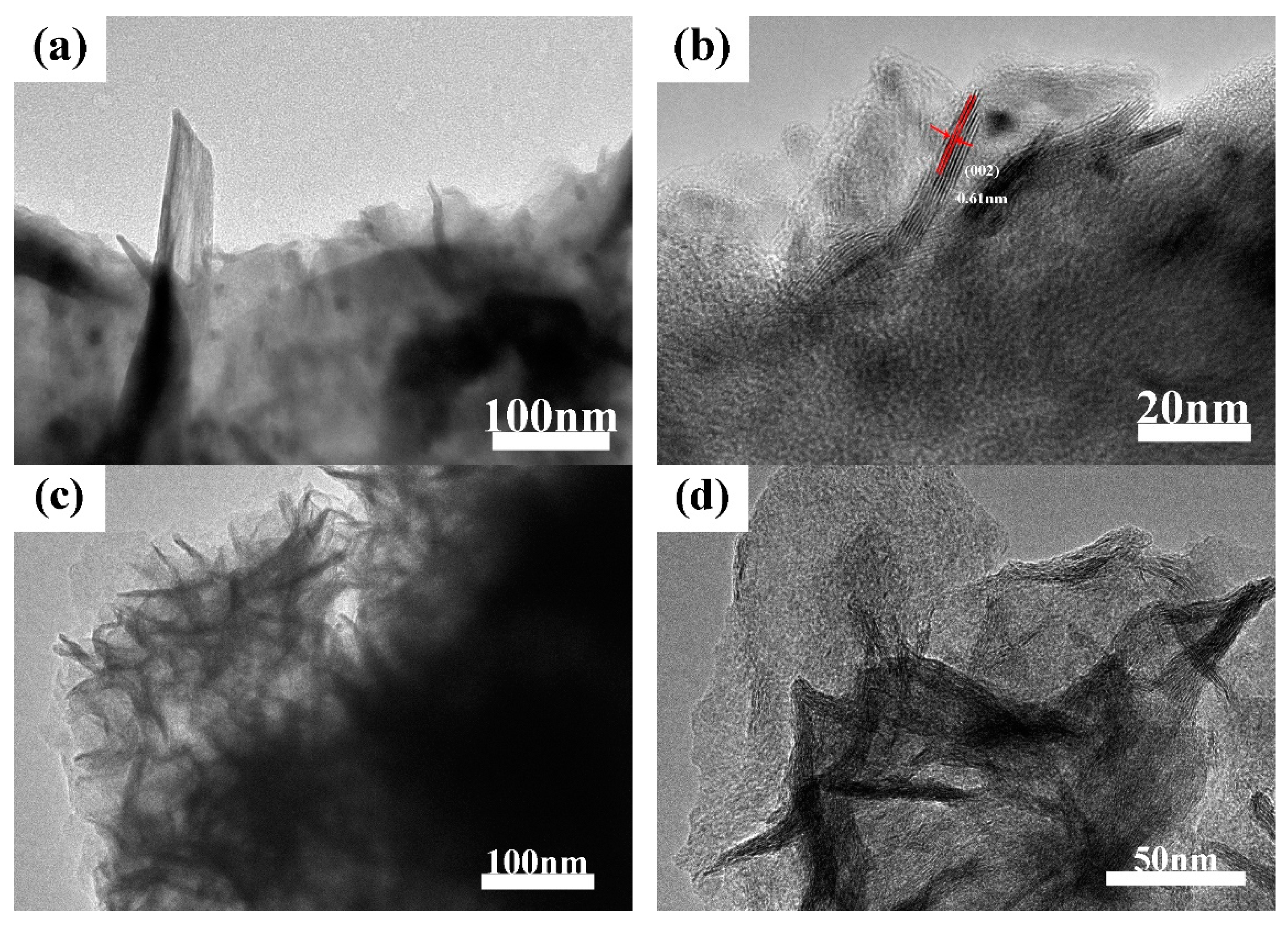 Catalysts 12 01423 g004