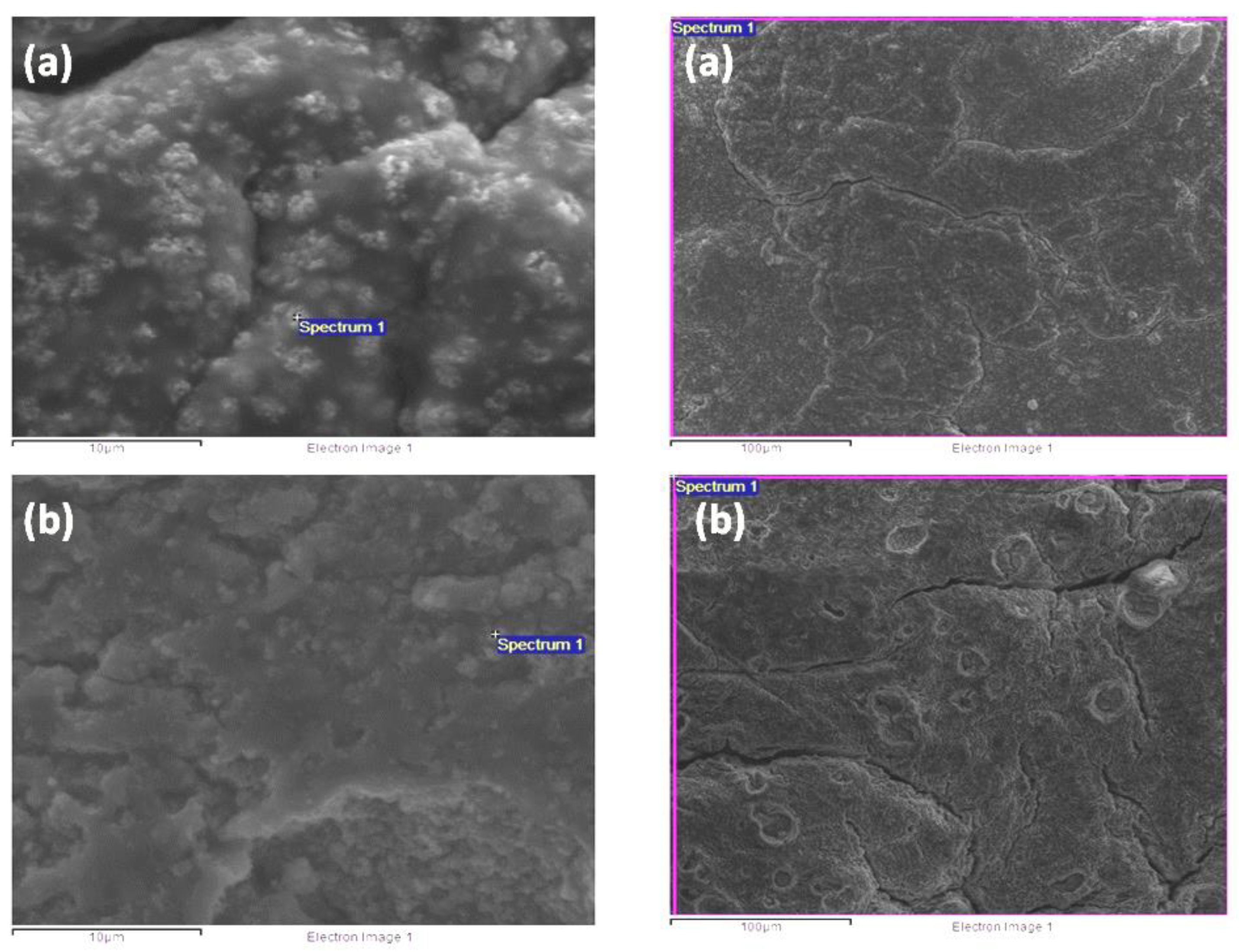 Catalysts 12 01425 g005