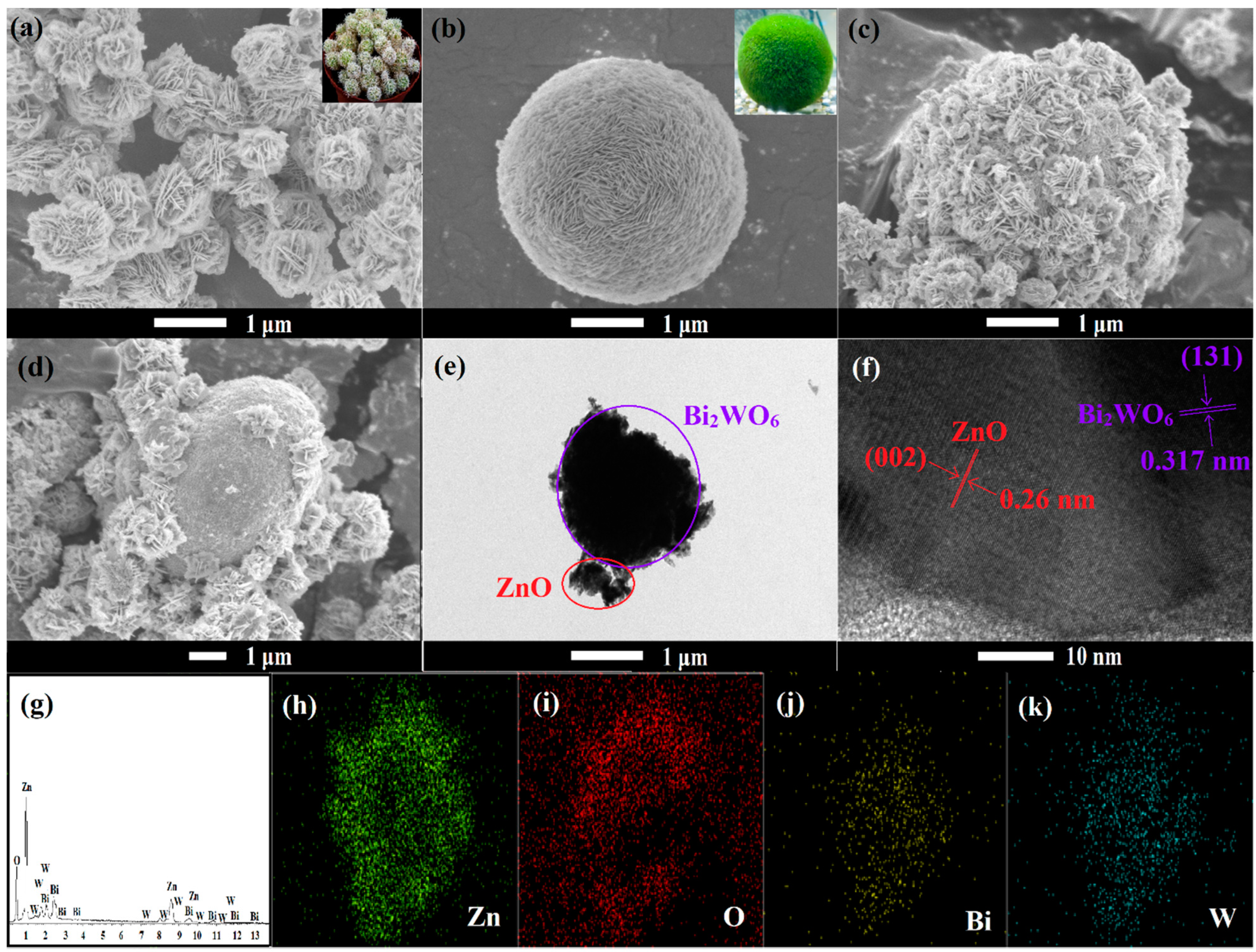 Catalysts 12 01427 g002