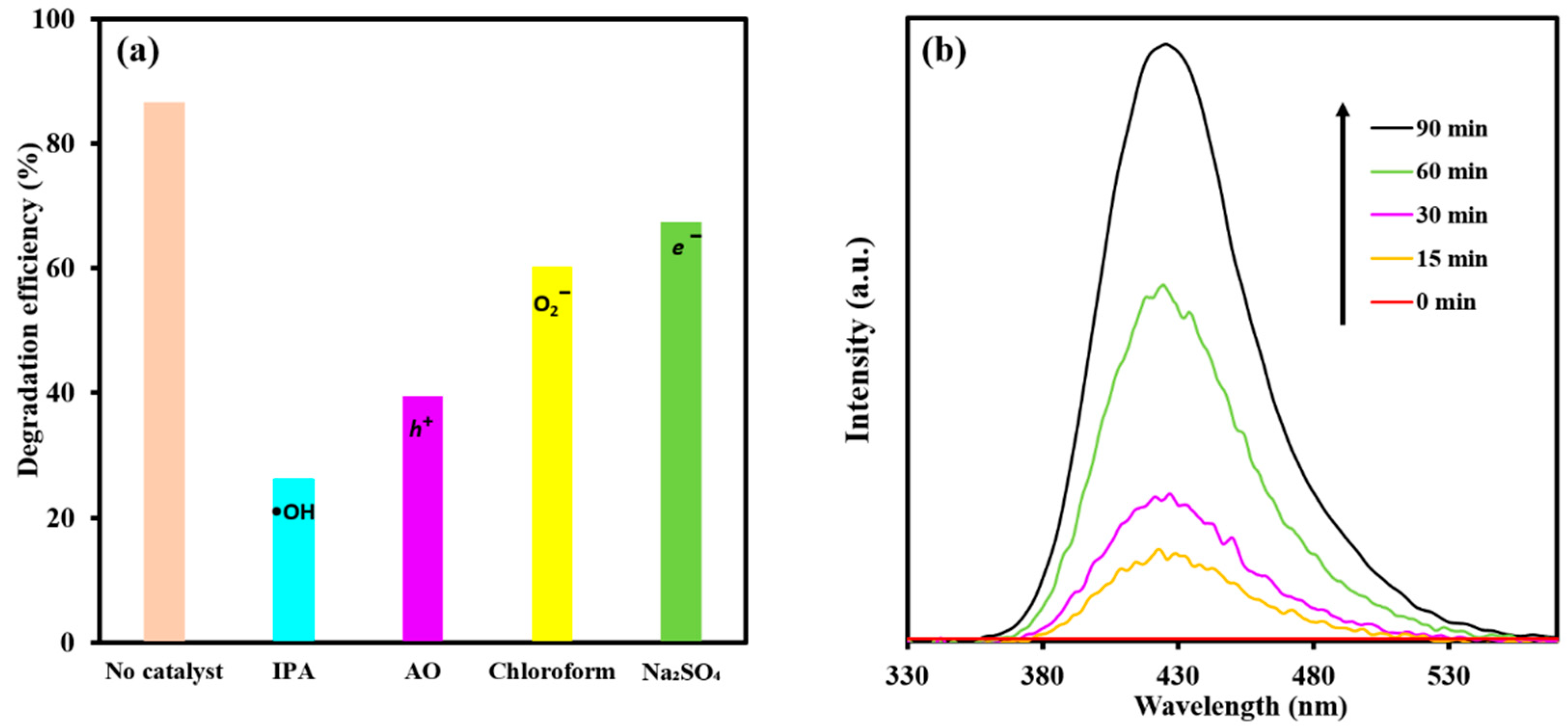 Catalysts 12 01427 g007