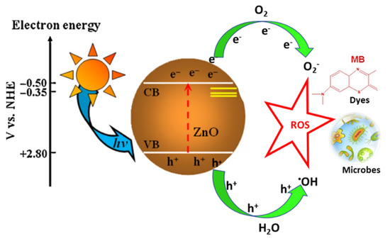 Catalysts 12 01442 g010