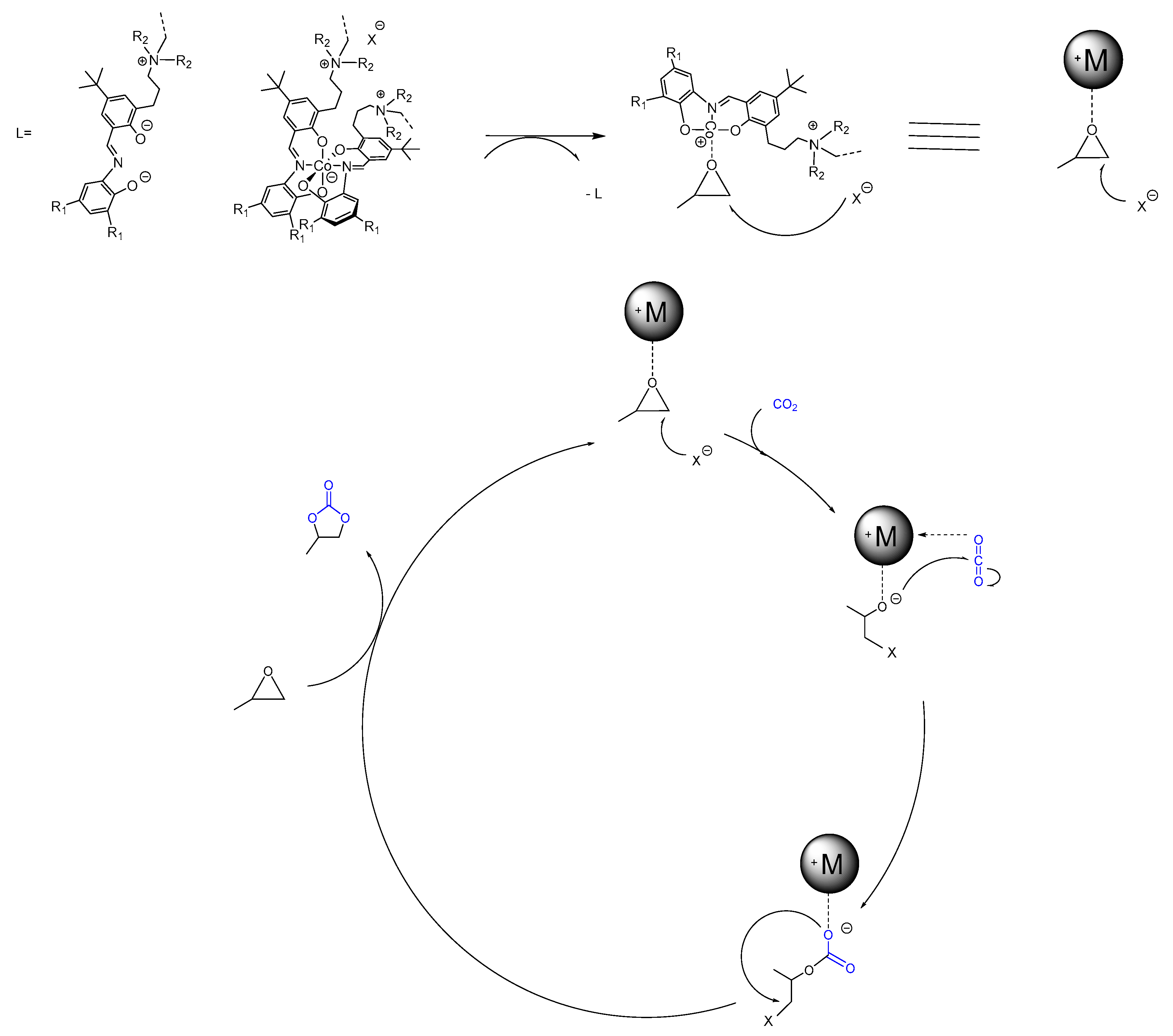 Catalysts 12 01443 sch004