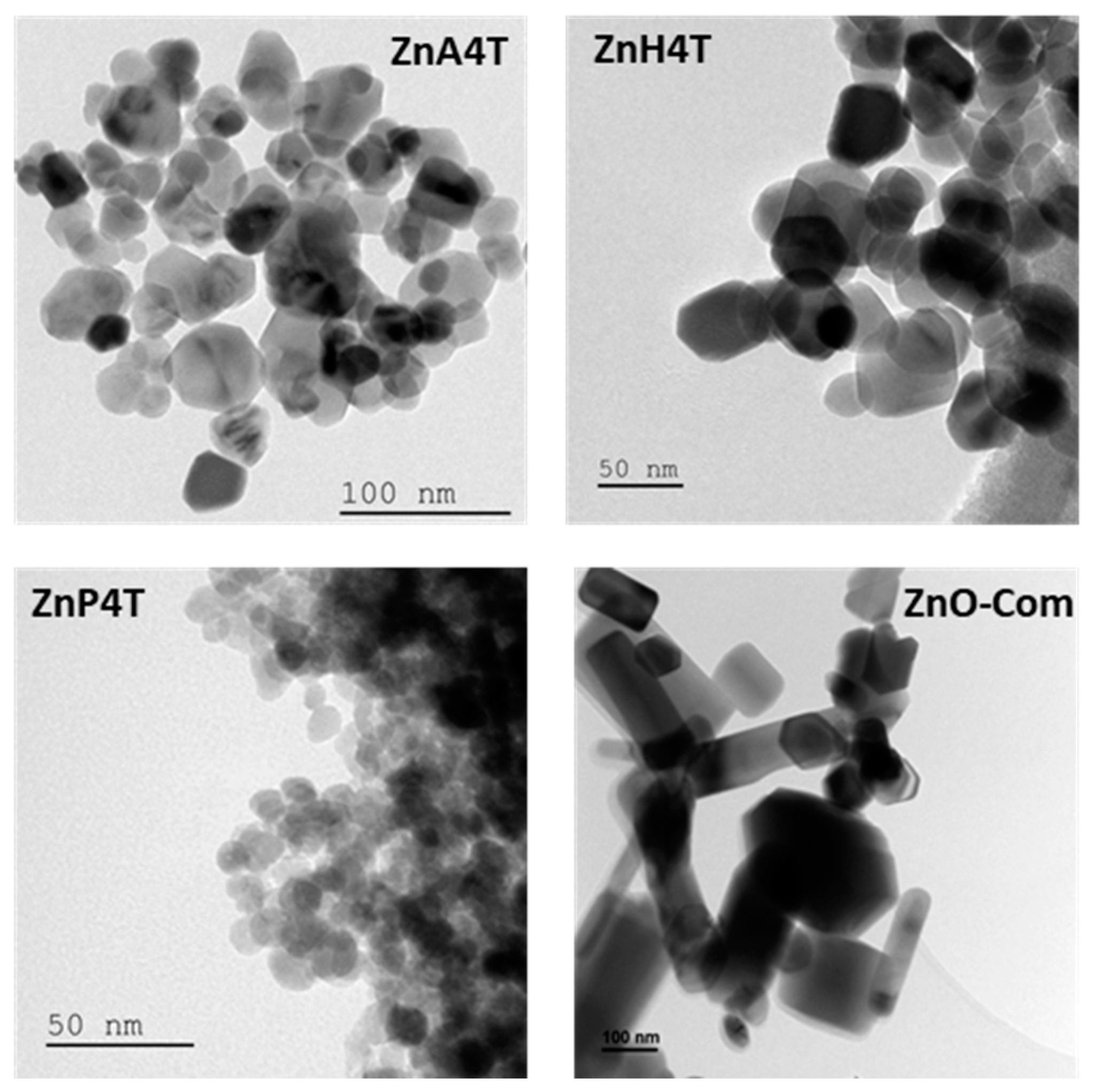 Catalysts 12 01445 g001