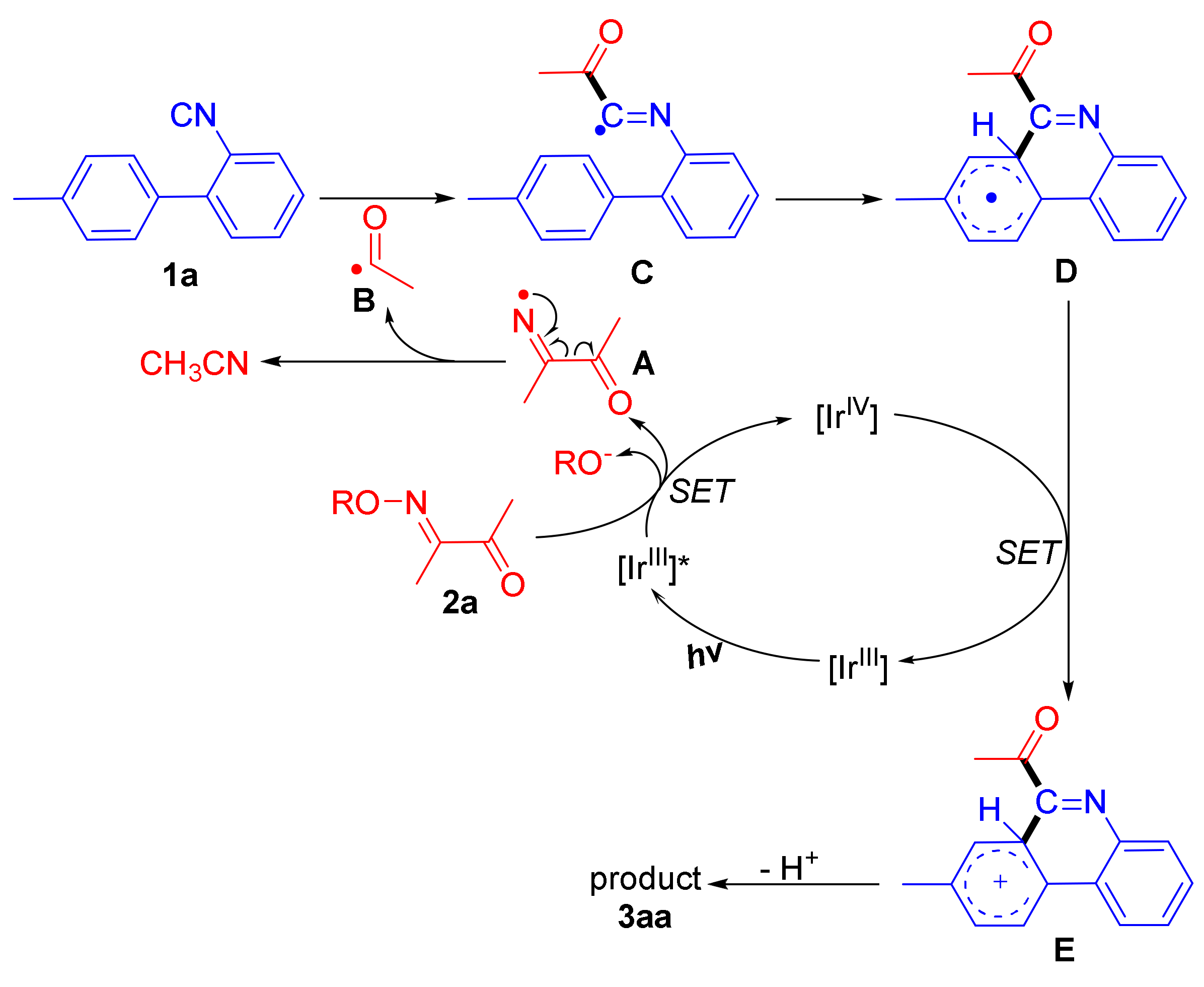 Catalysts 12 01446 sch003 Catalysts 12 01446 sch003