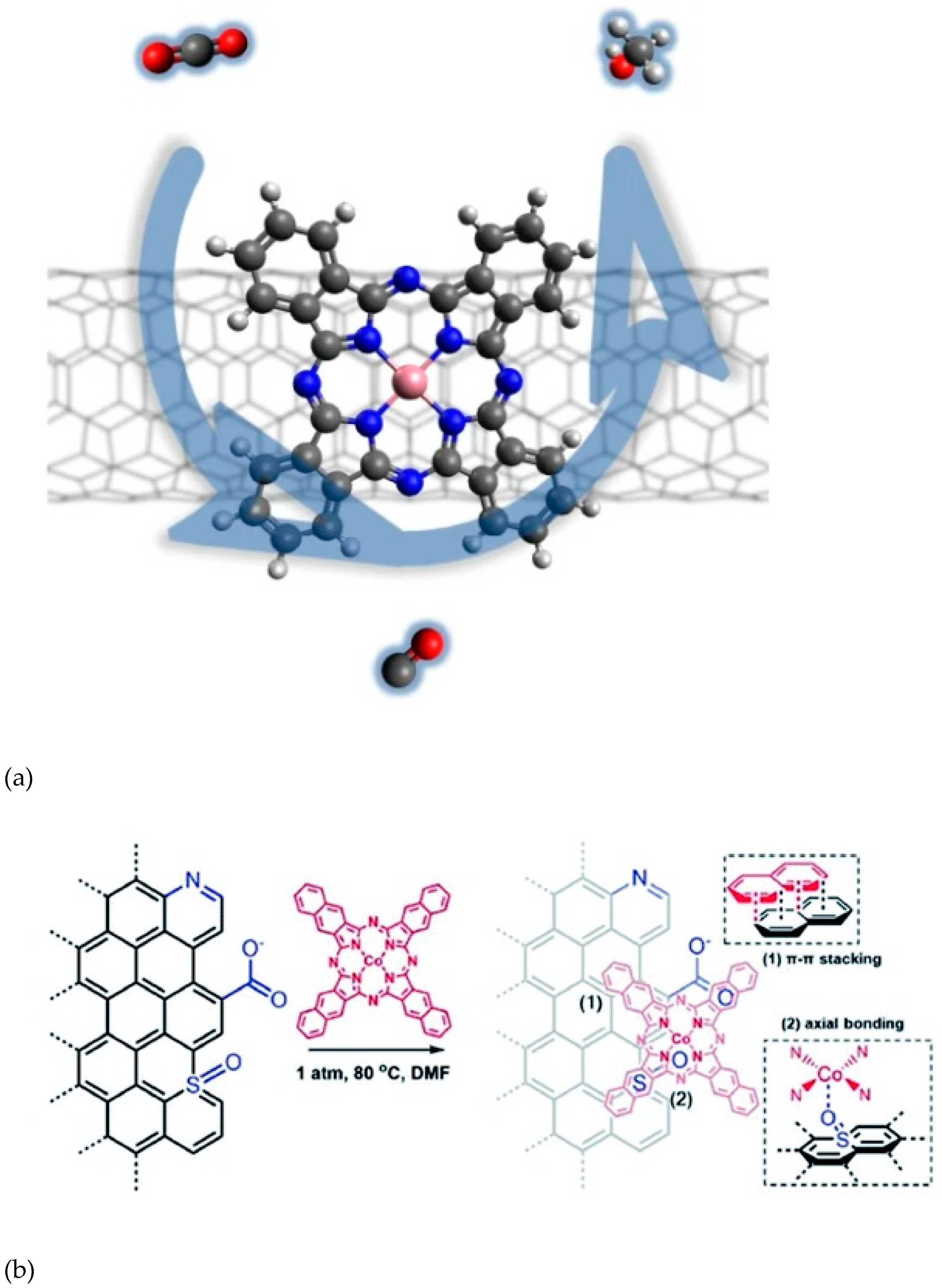 Catalysts 12 01448 g007