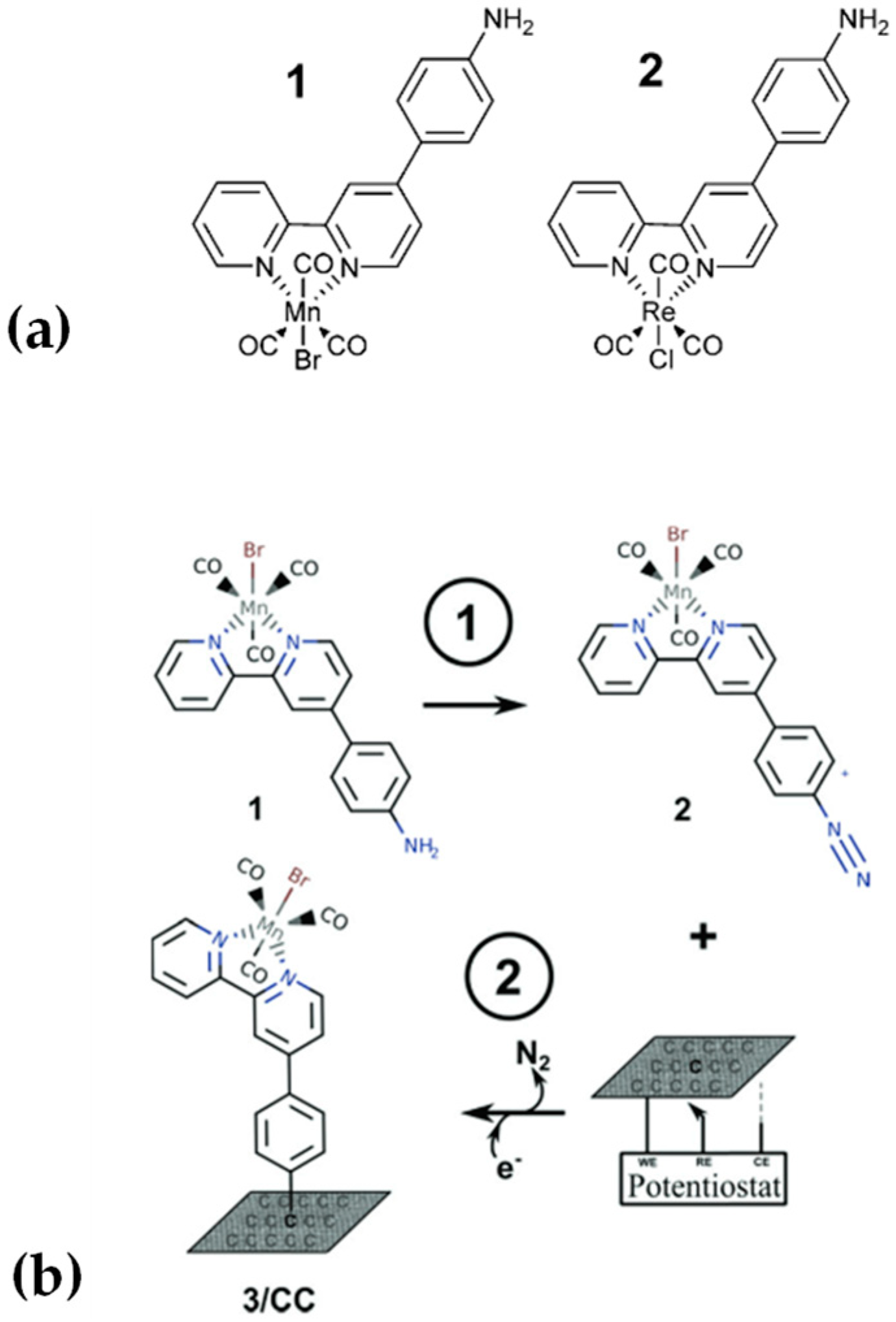 Catalysts 12 01448 g012