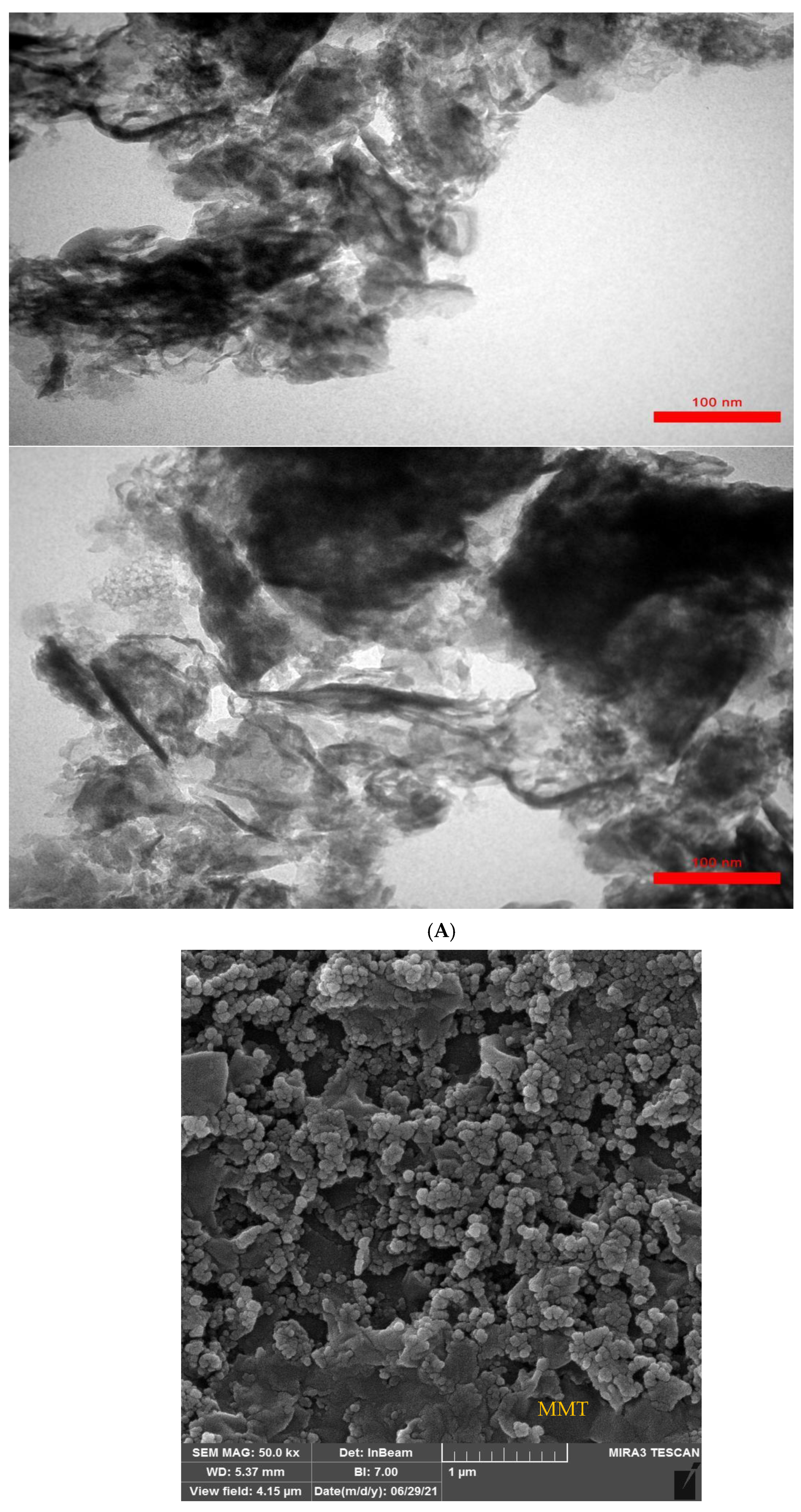 Catalysts 12 01450 g001a