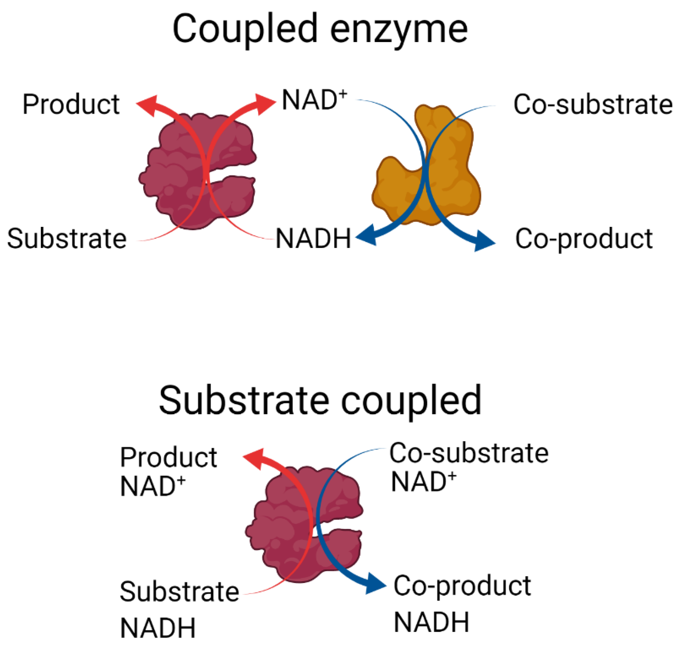 Catalysts 12 01454 g001