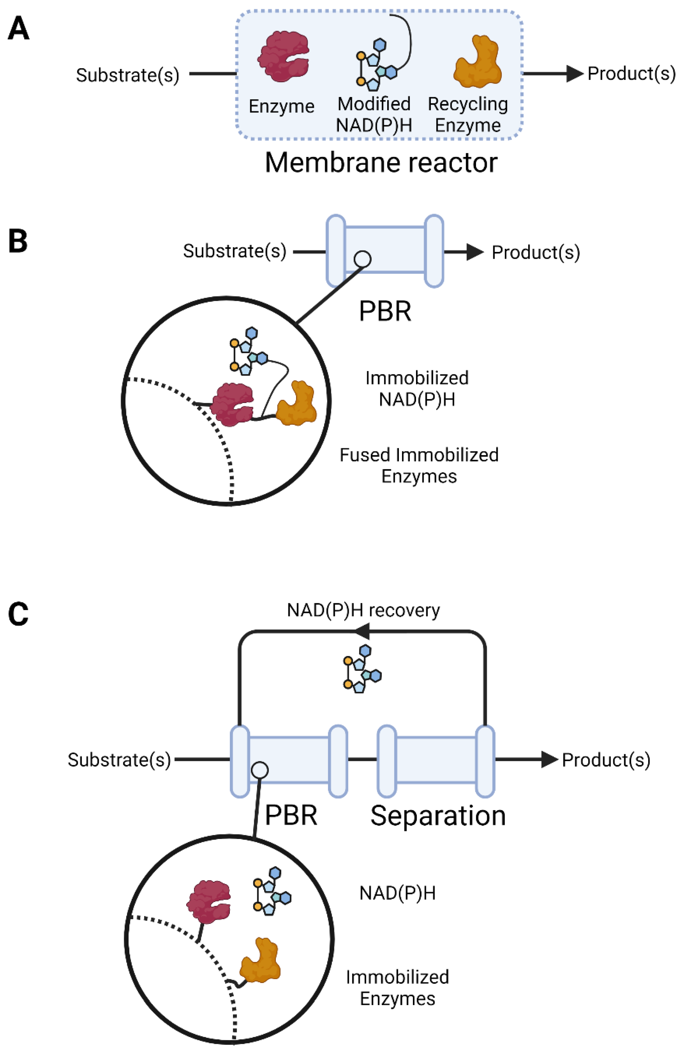 Catalysts 12 01454 g002