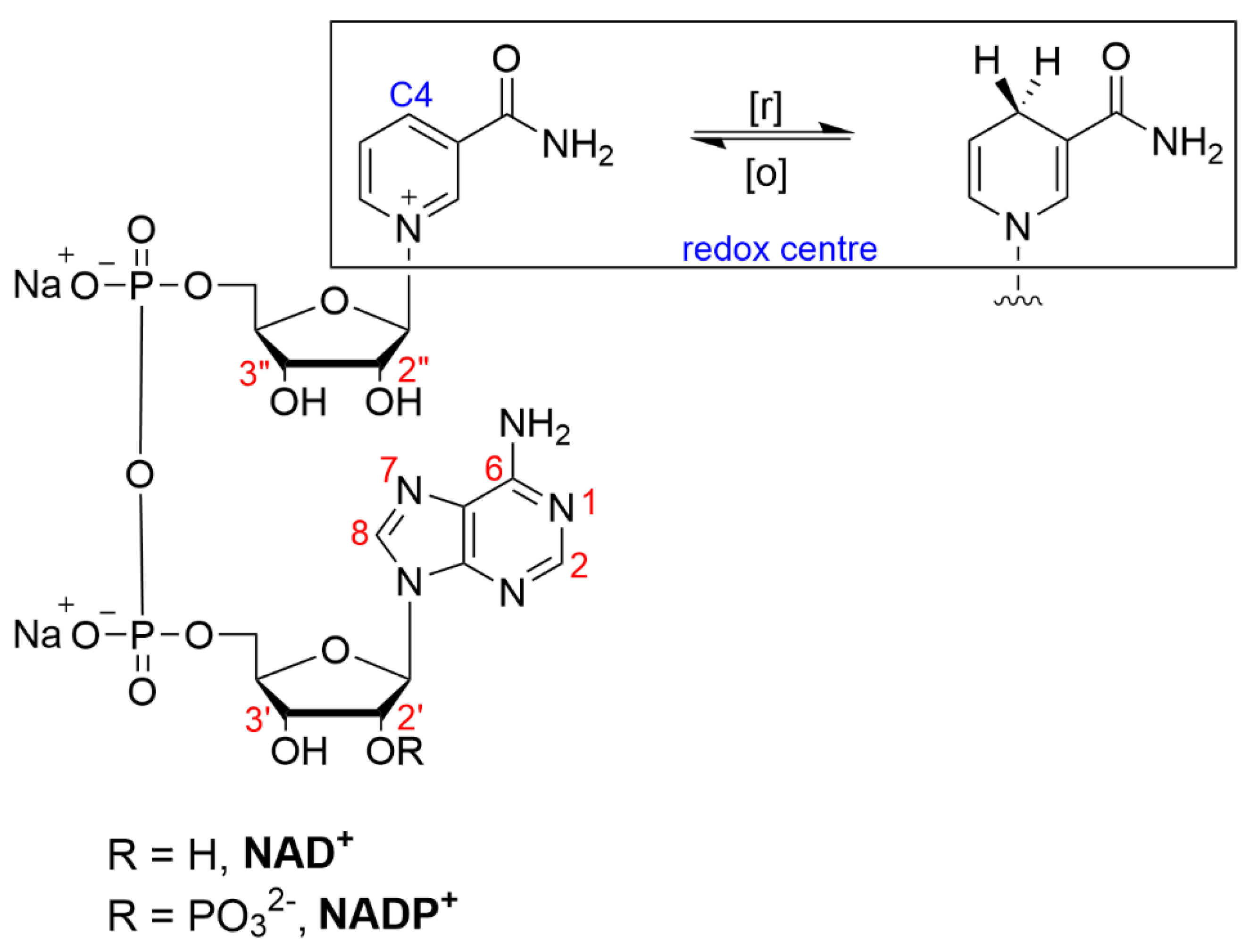 Catalysts 12 01454 g003