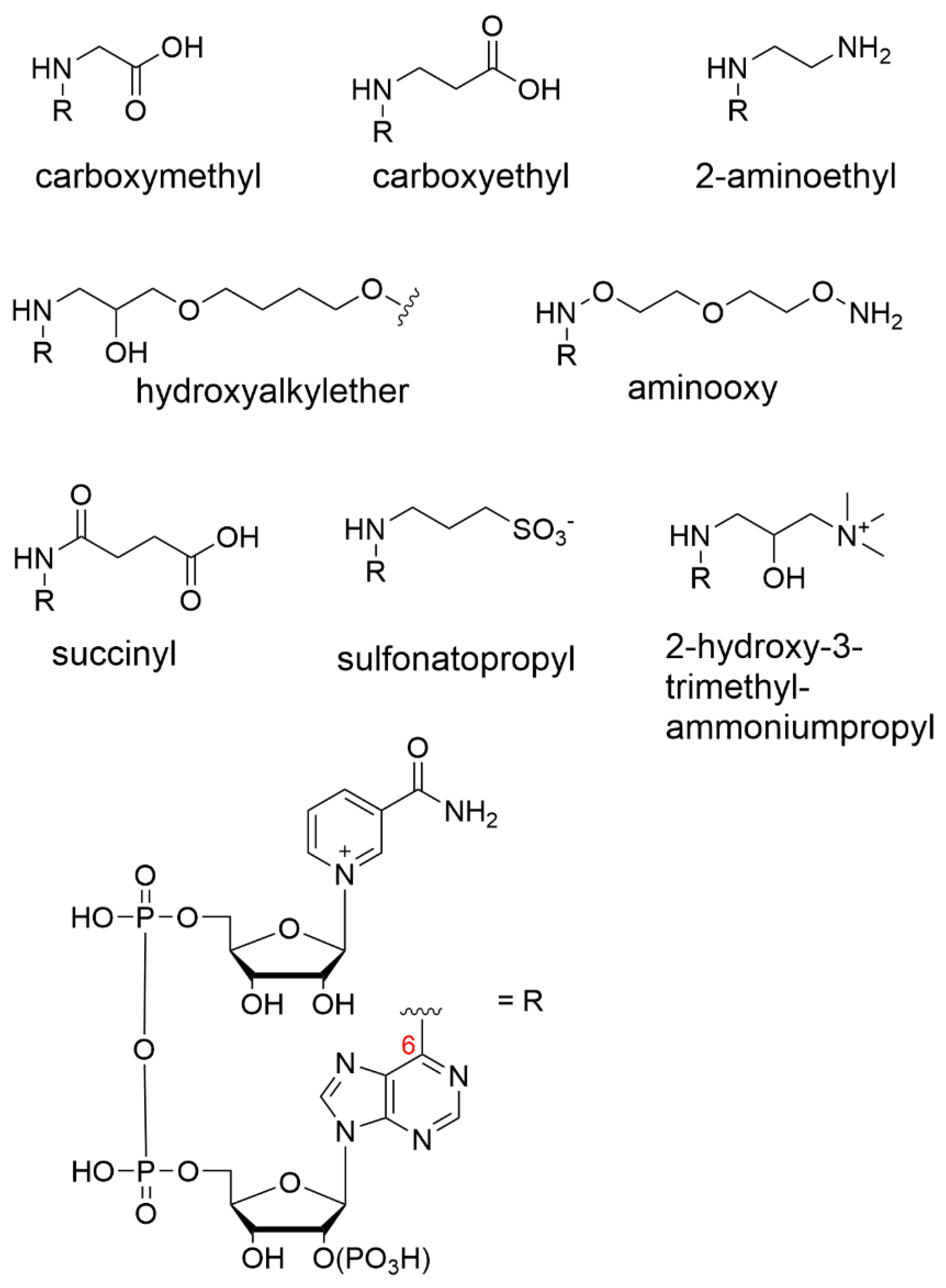 Catalysts 12 01454 g004