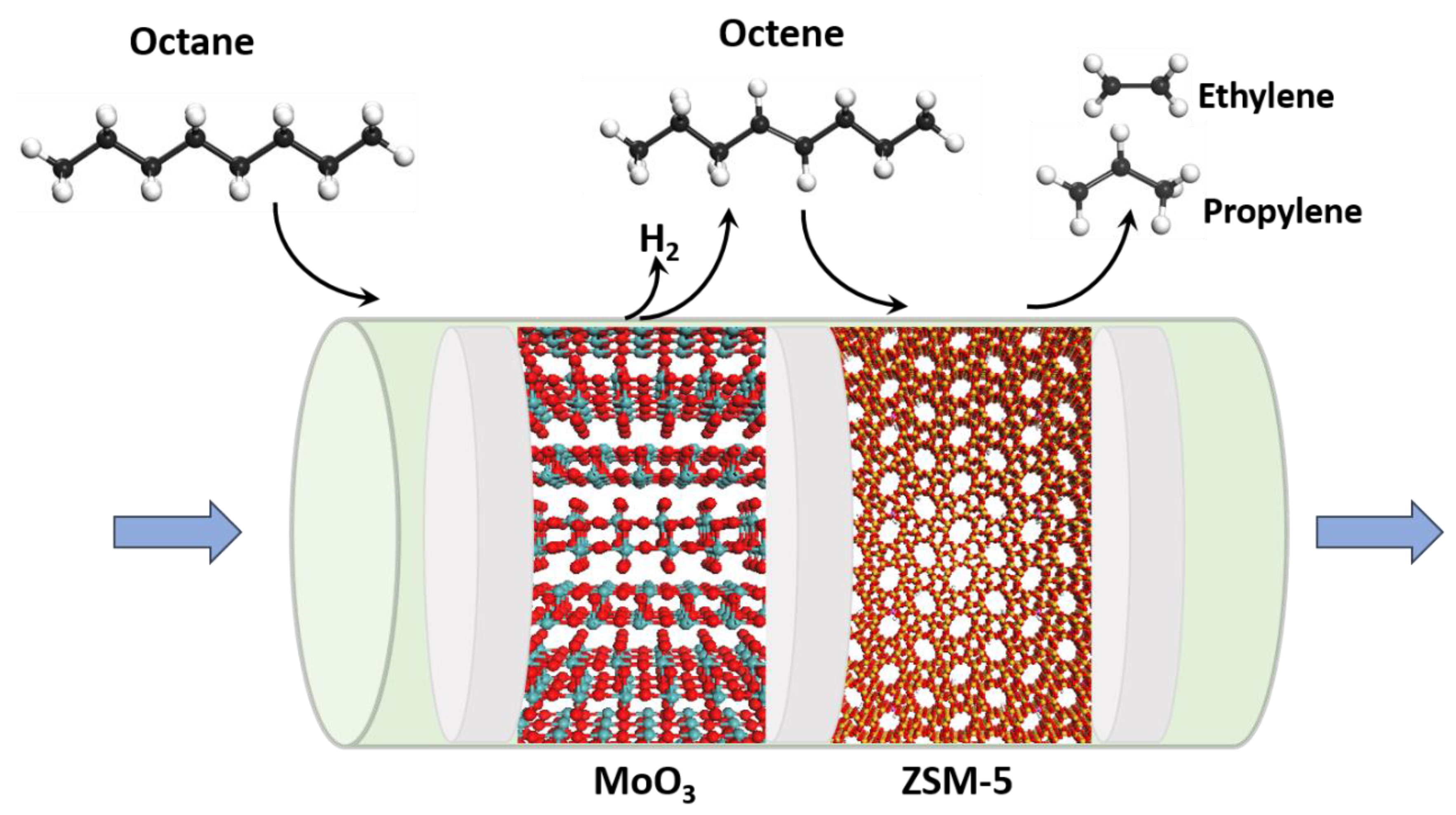 Catalysts 12 01457 g005