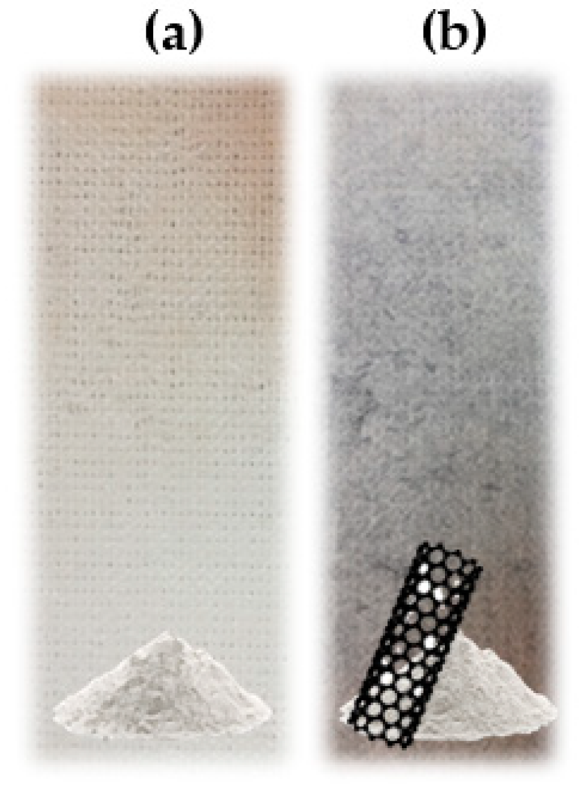 Catalysts 12 01463 g007