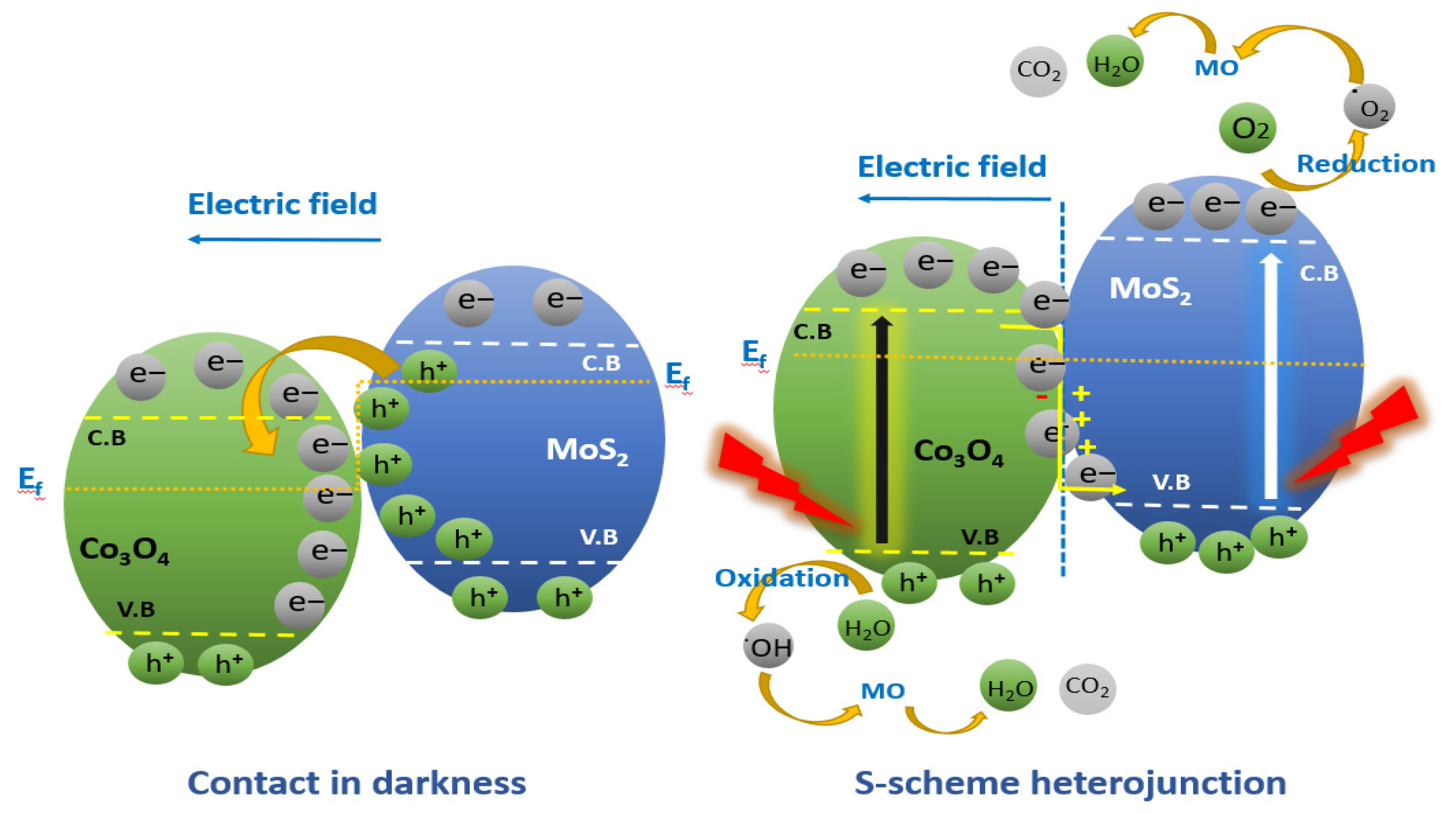 Catalysts 12 01474 sch001 Catalysts 12 01474 sch001