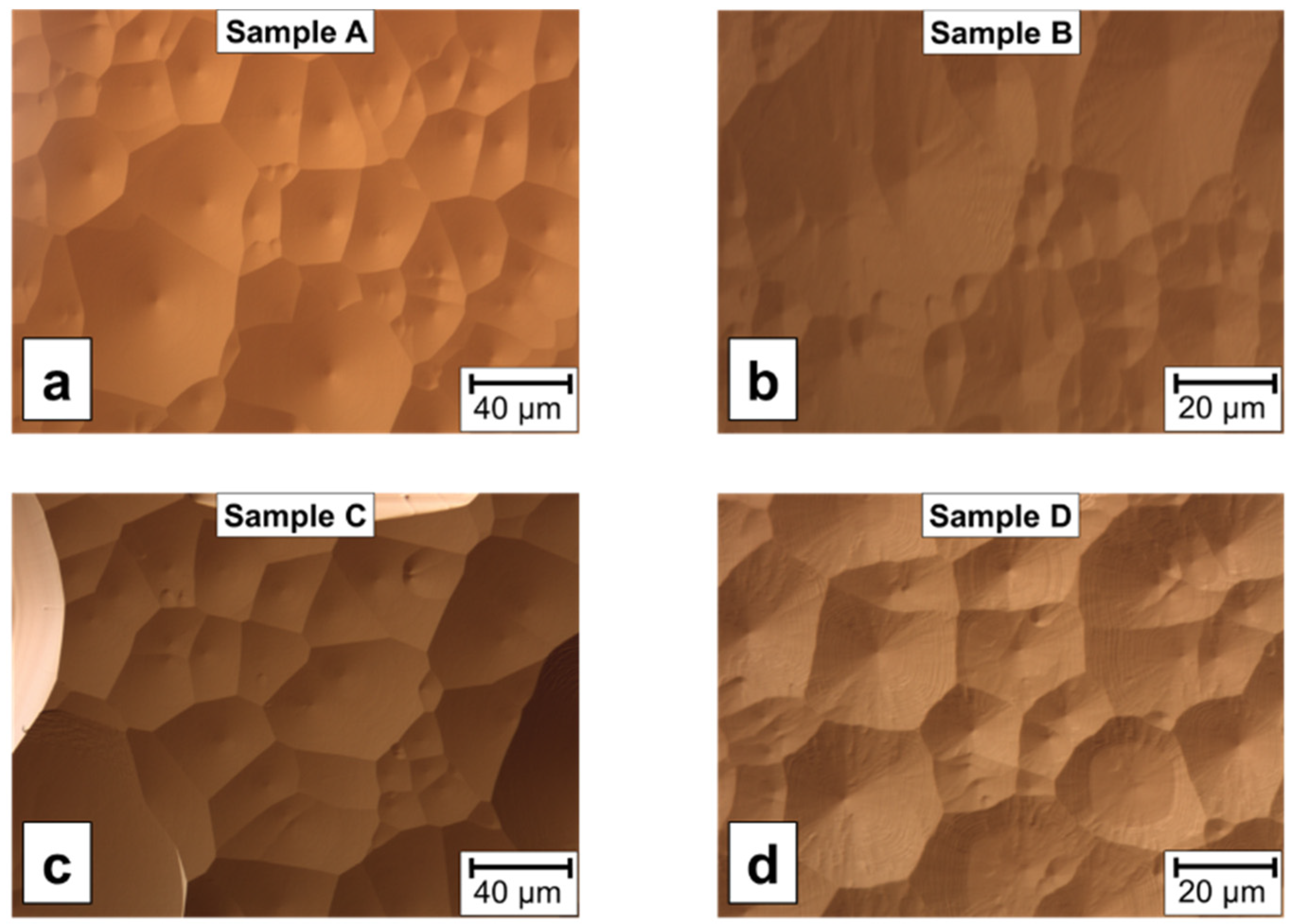 Catalysts 12 01482 g001 Catalysts 12 01482 g001