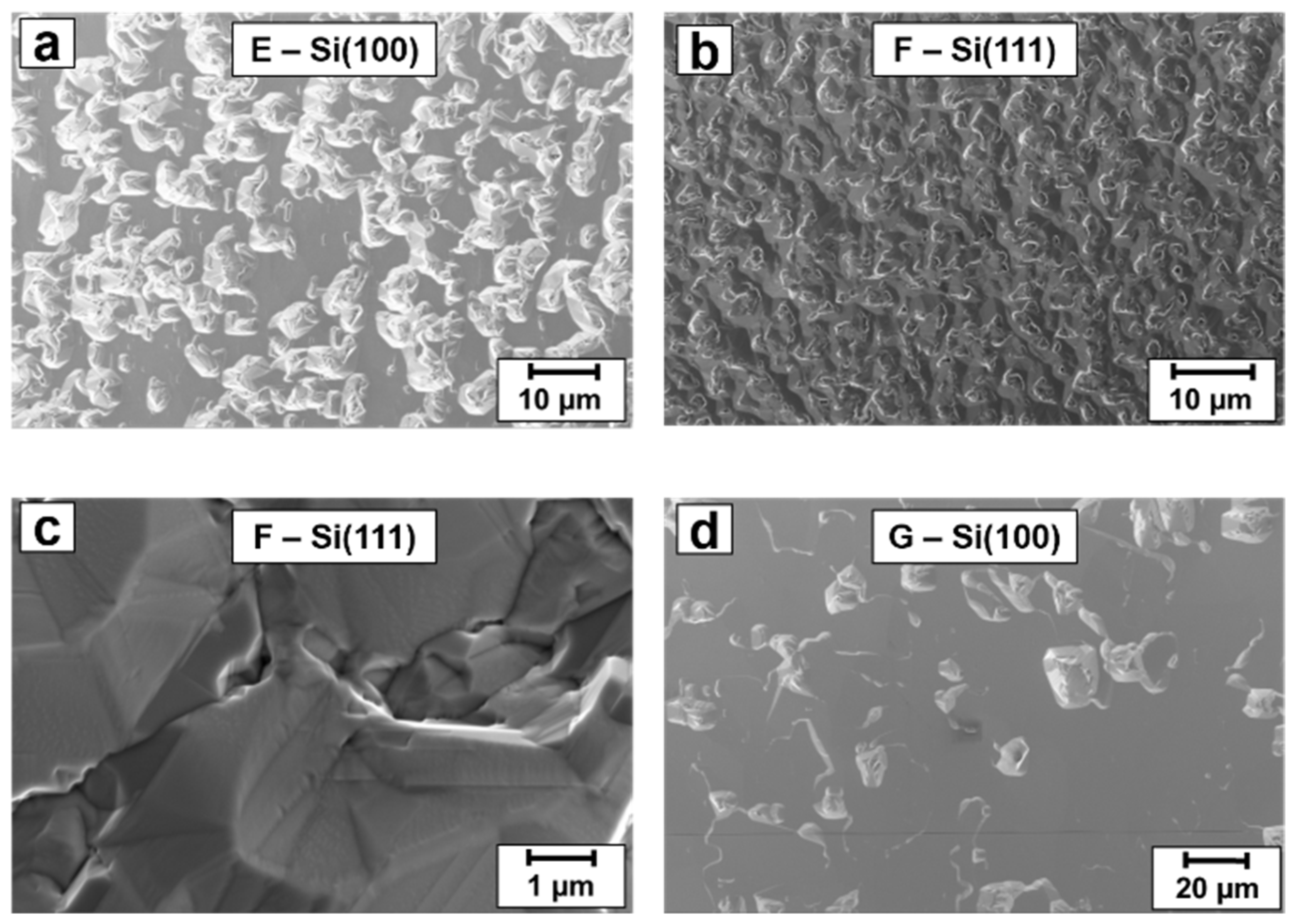 Catalysts 12 01482 g002 Catalysts 12 01482 g002