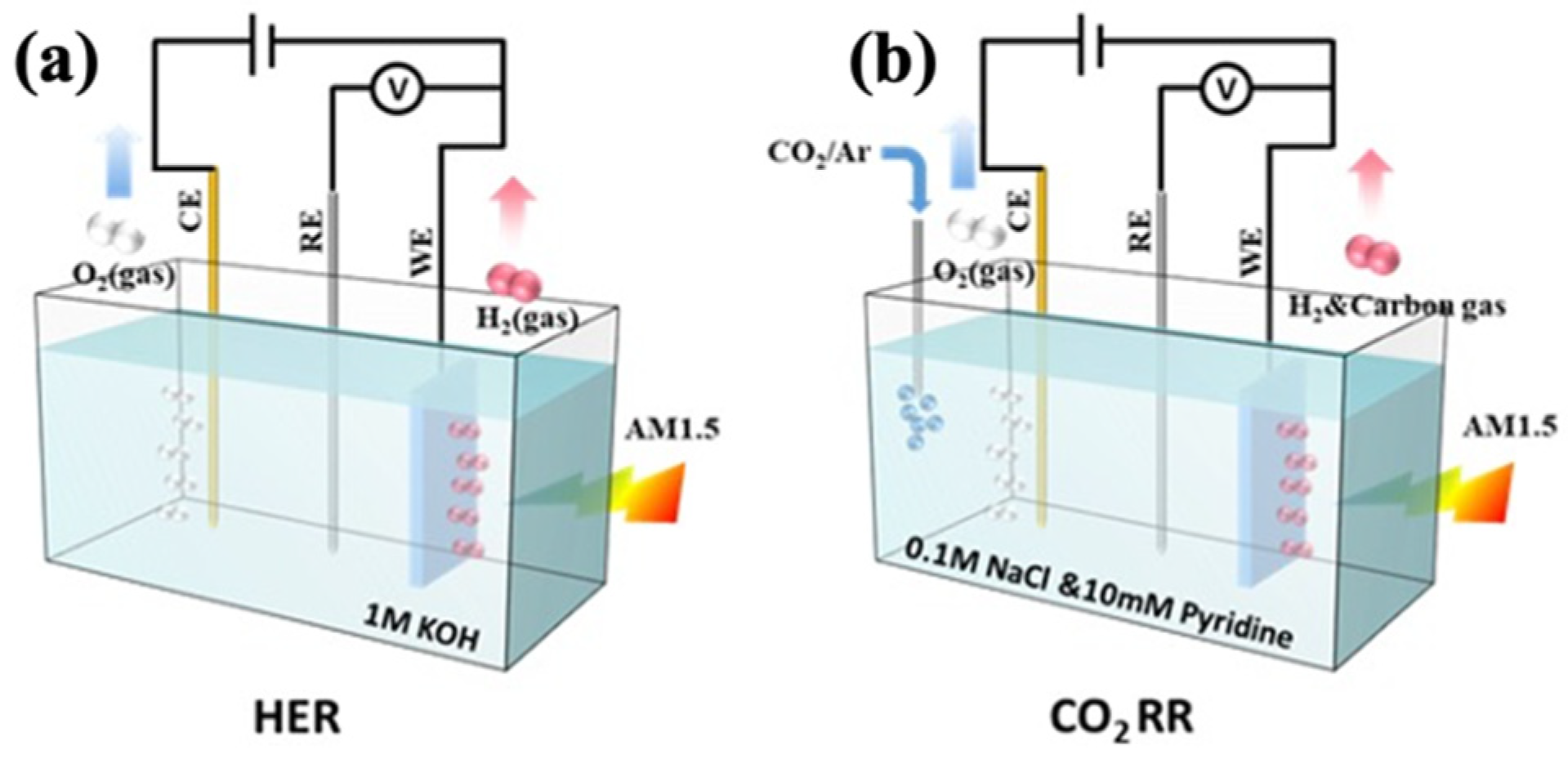 Catalysts 12 01482 g010 Catalysts 12 01482 g010
