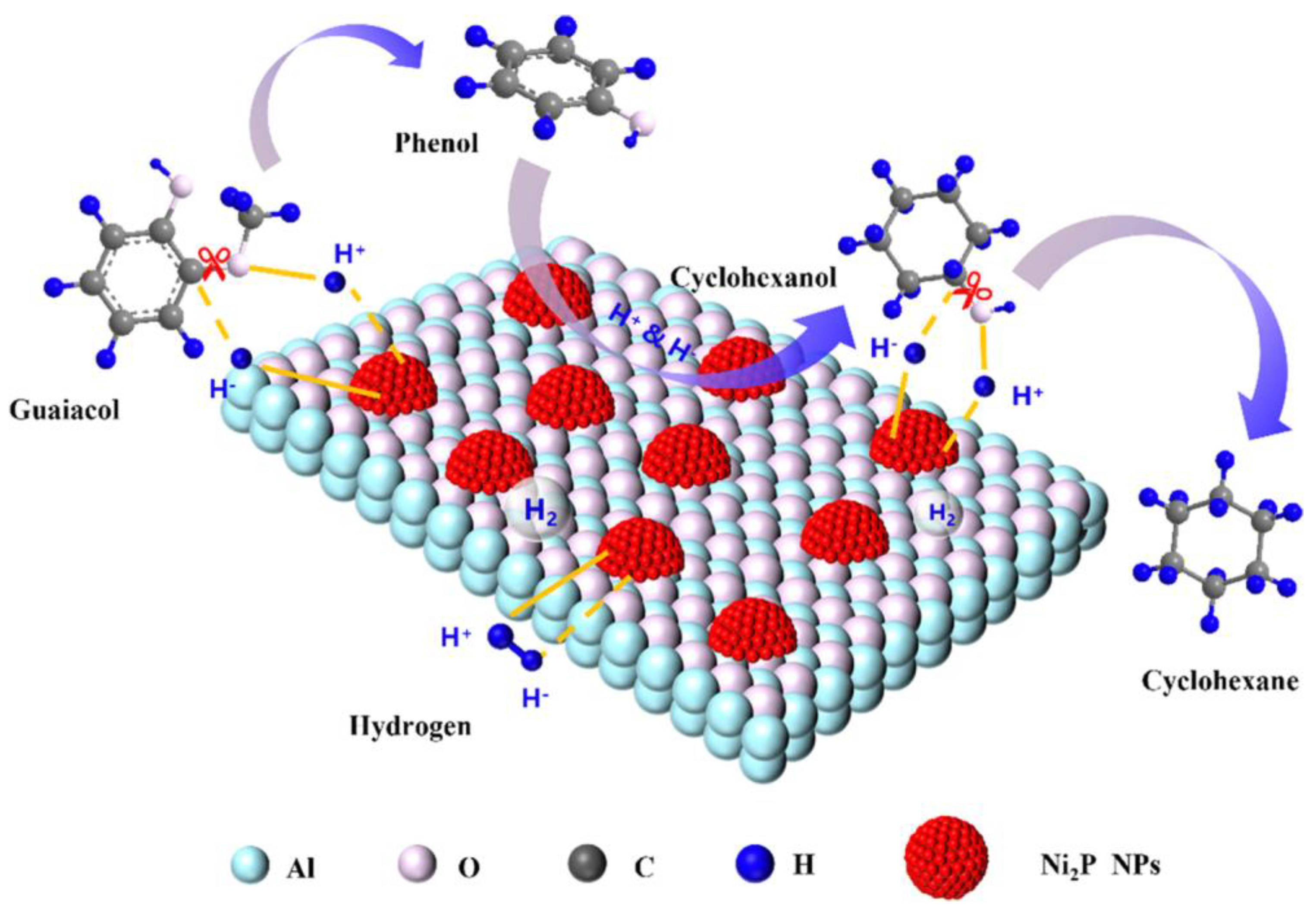 Catalysts 12 01484 g003