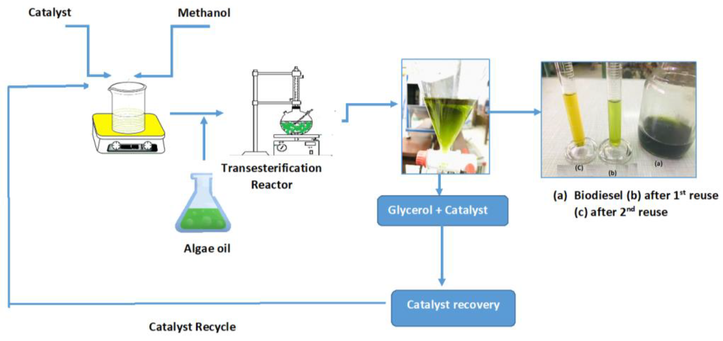 Catalysts 12 01501 g008