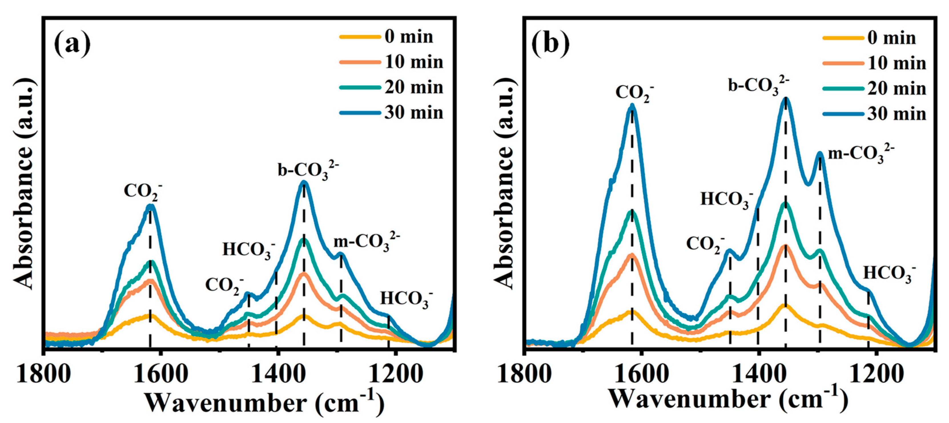 Catalysts 12 01588 g007