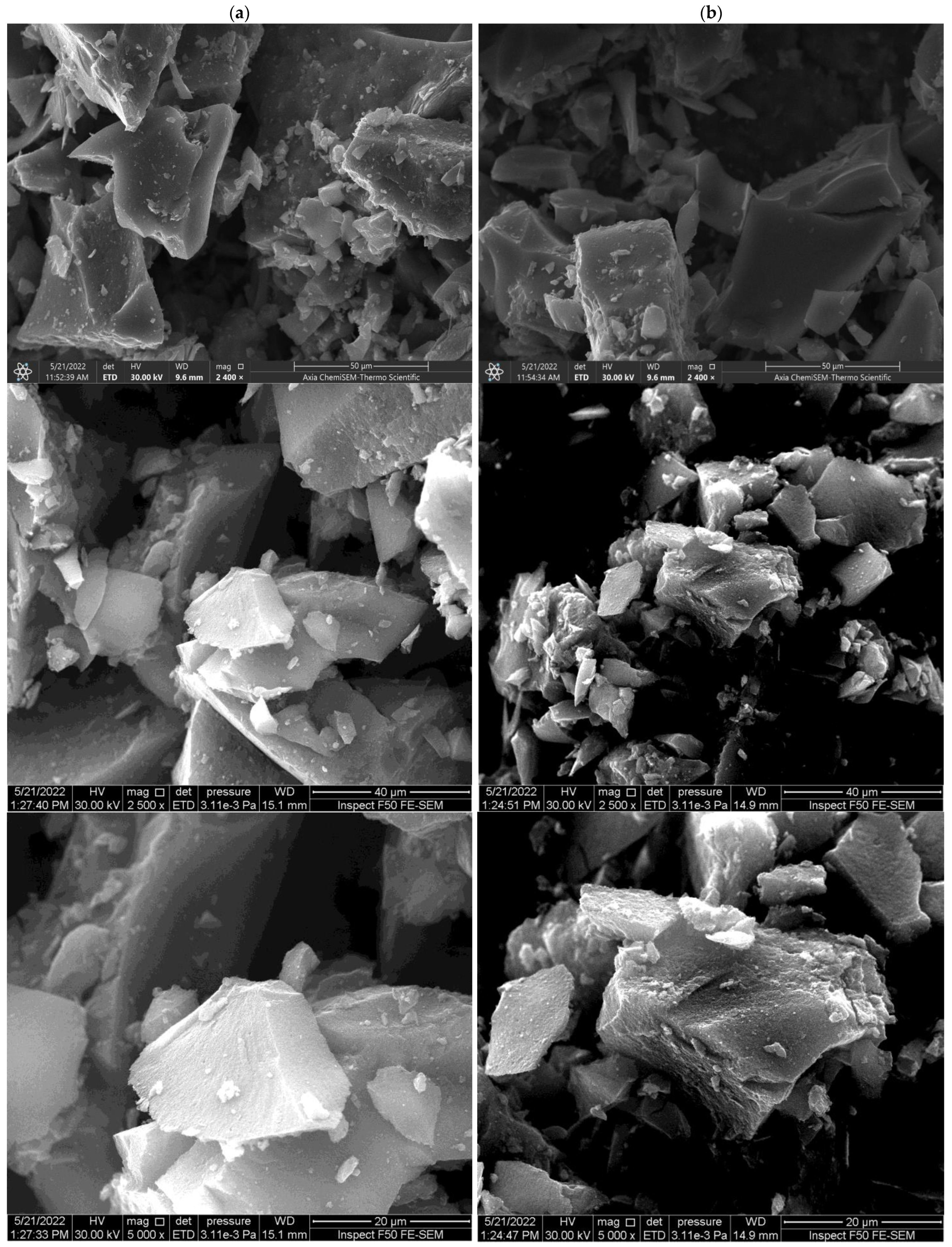 Catalysts 12 01663 g002