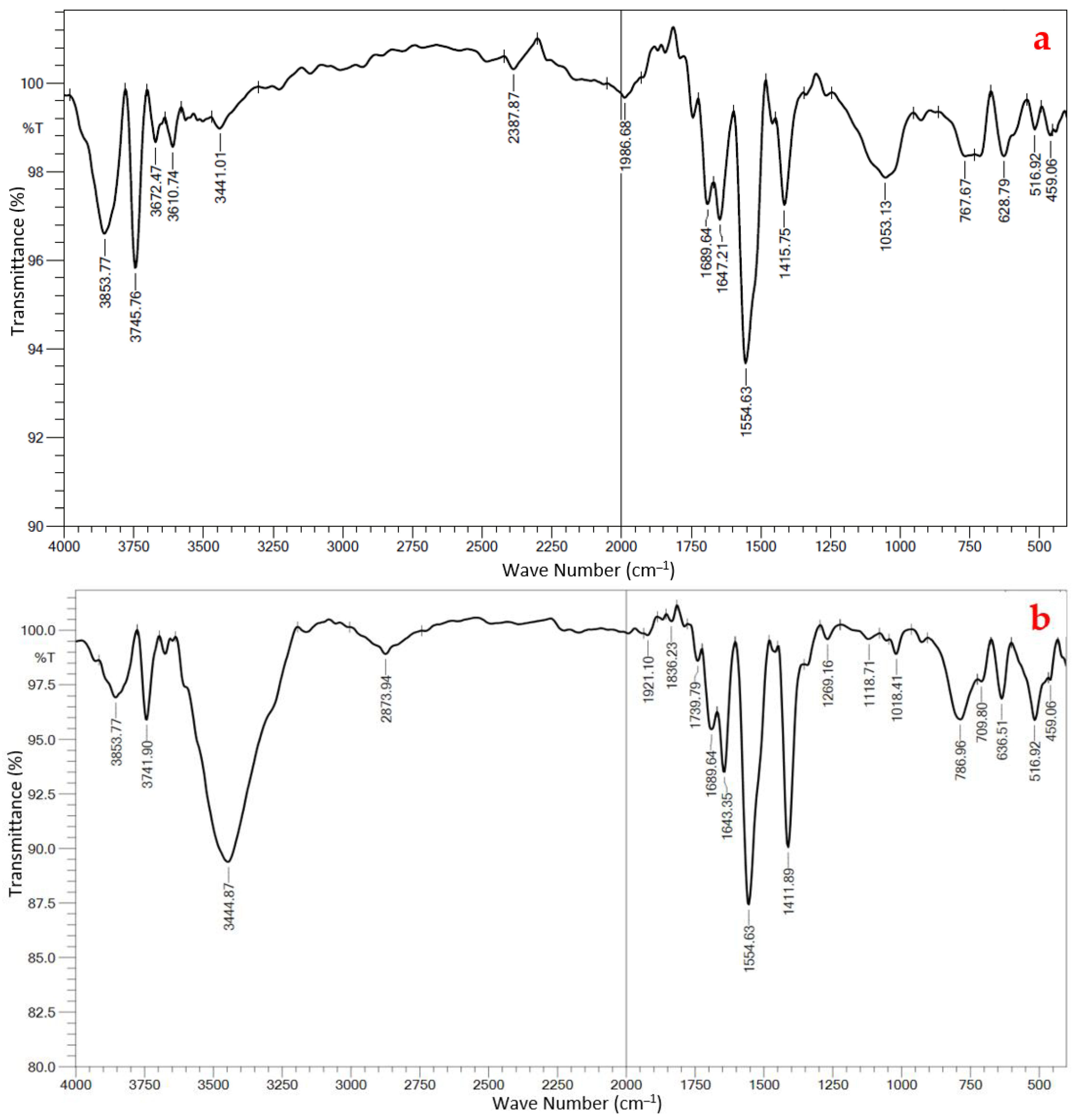 Catalysts 12 01663 g003