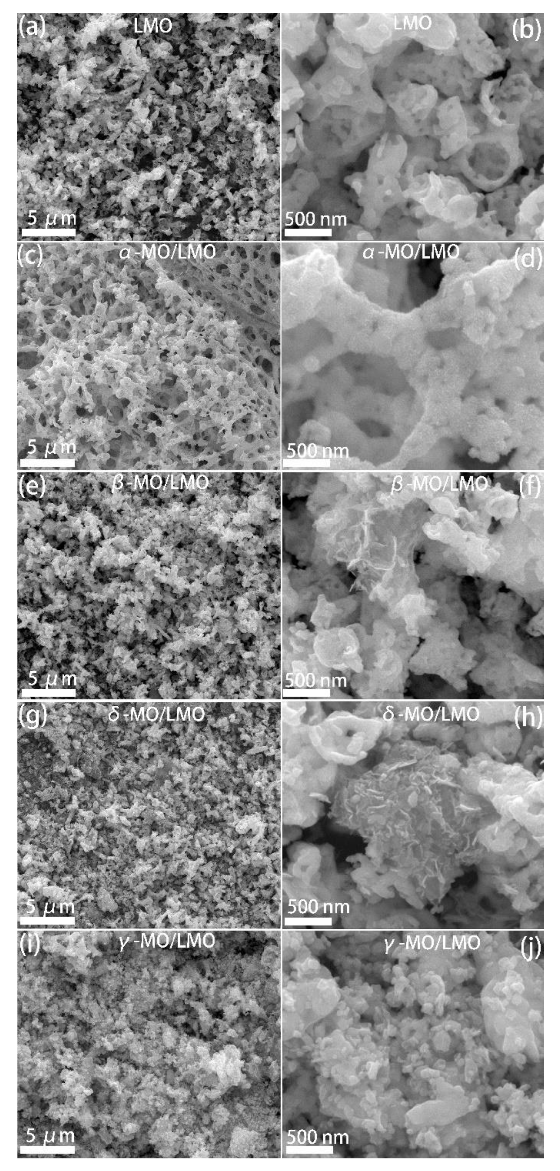 Catalysts 12 01666 g002