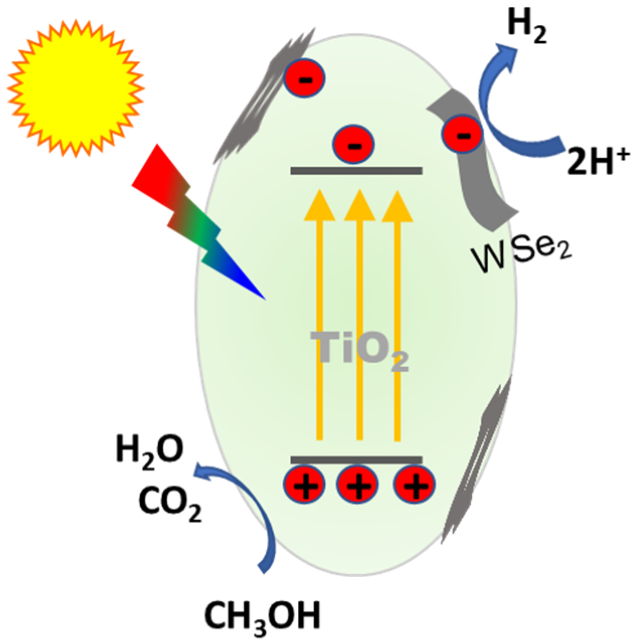 Catalysts 12 01668 g008