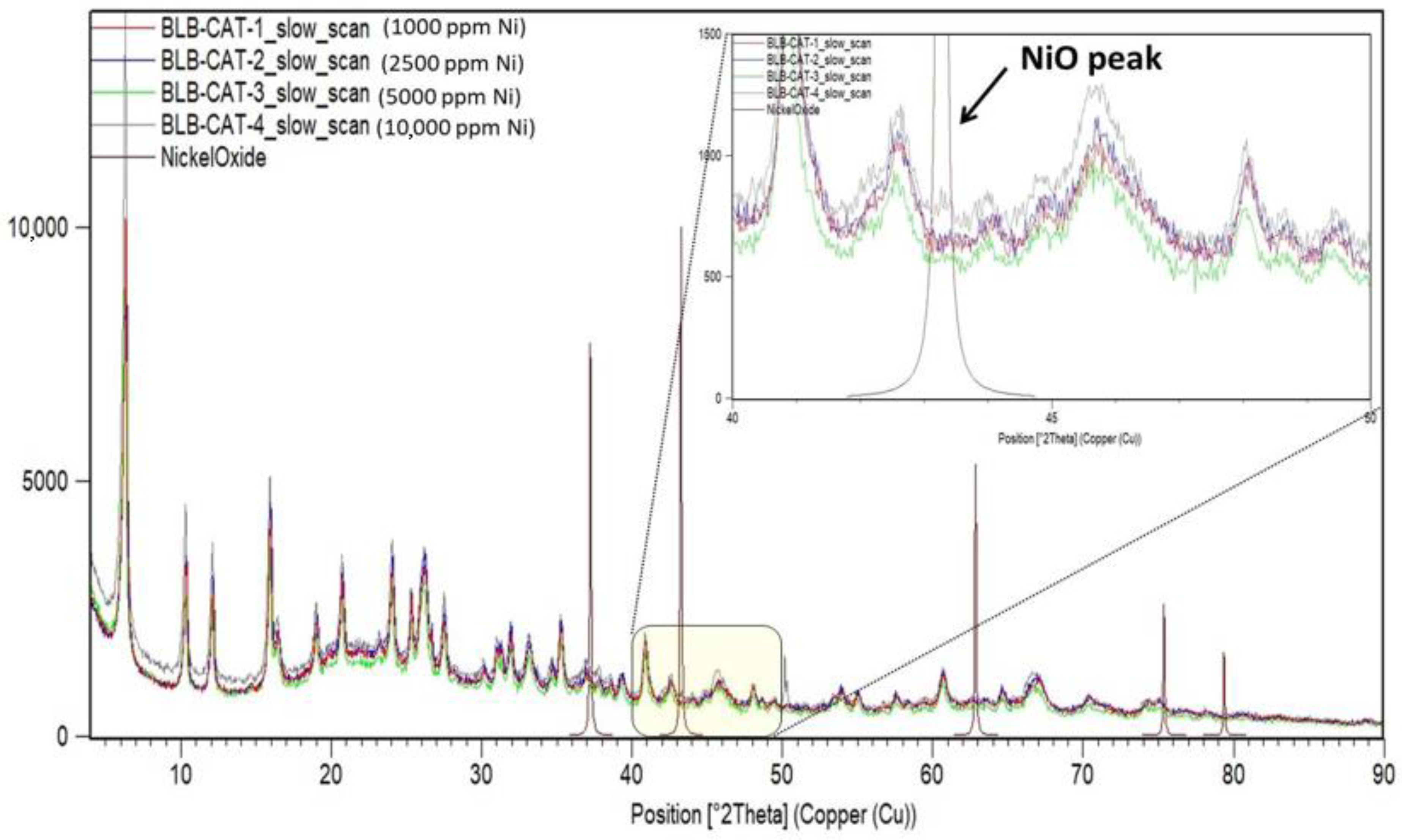 Catalysts 13 00003 g008