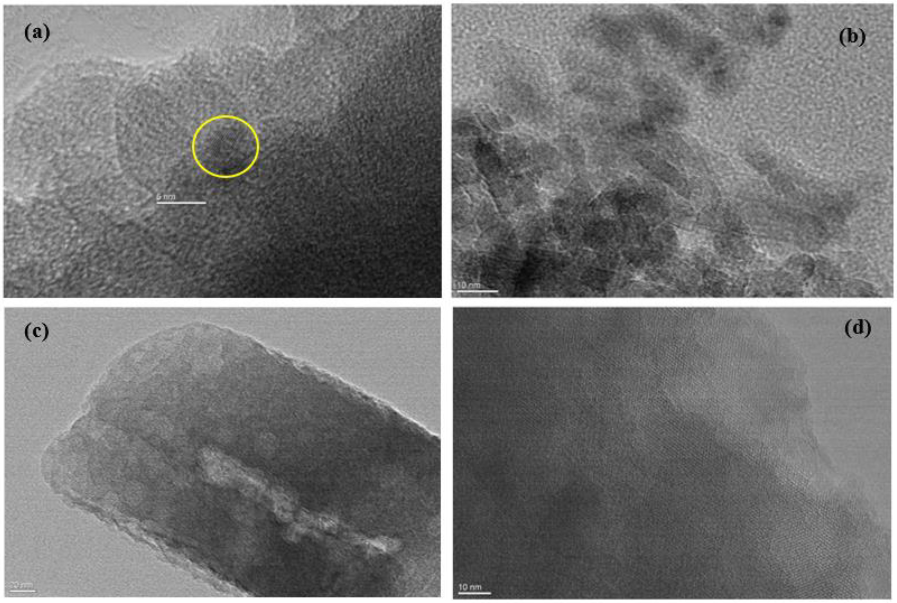 Catalysts 13 00003 g020