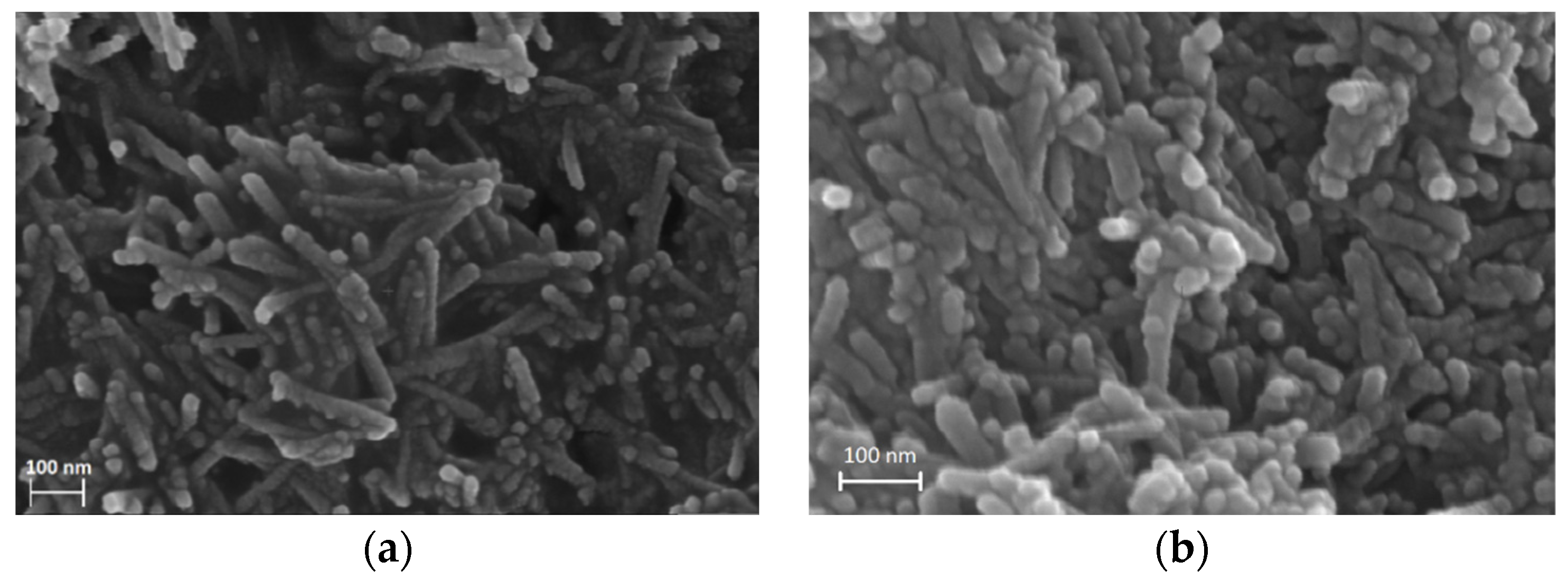 Catalysts 13 00005 g002