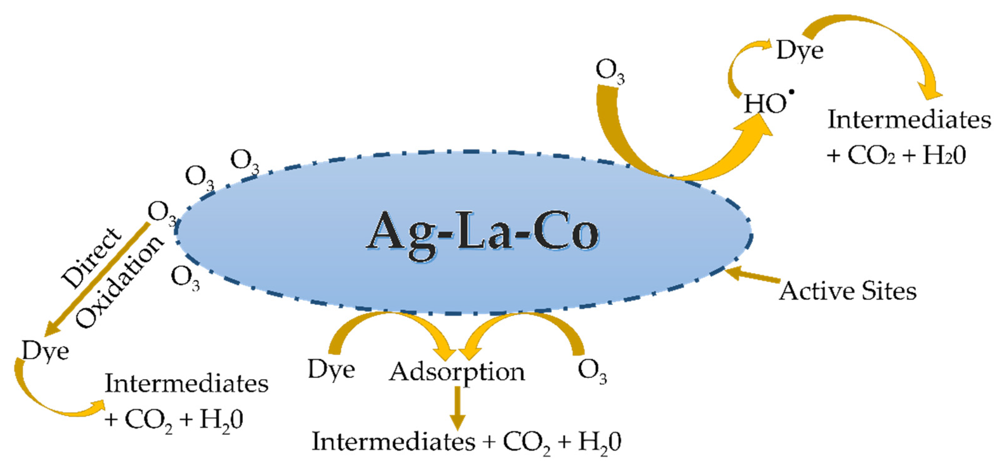 Catalysts 13 00006 g003