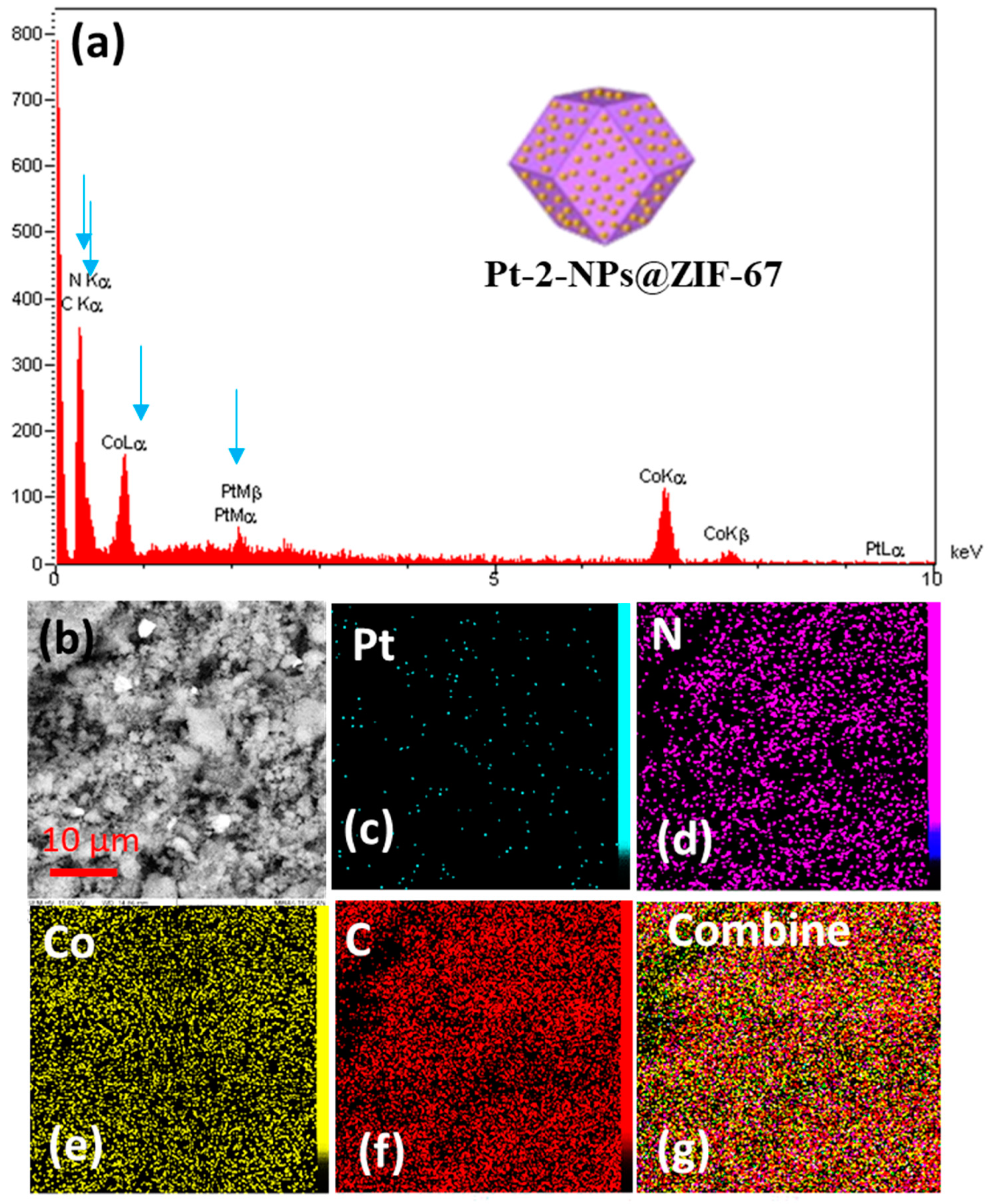 Catalysts 13 00009 g005 Catalysts 13 00009 g005