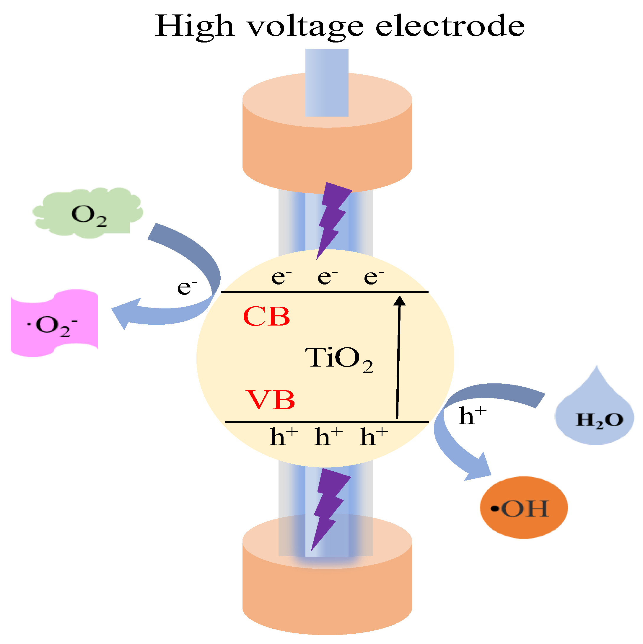 Catalysts 13 00010 g005