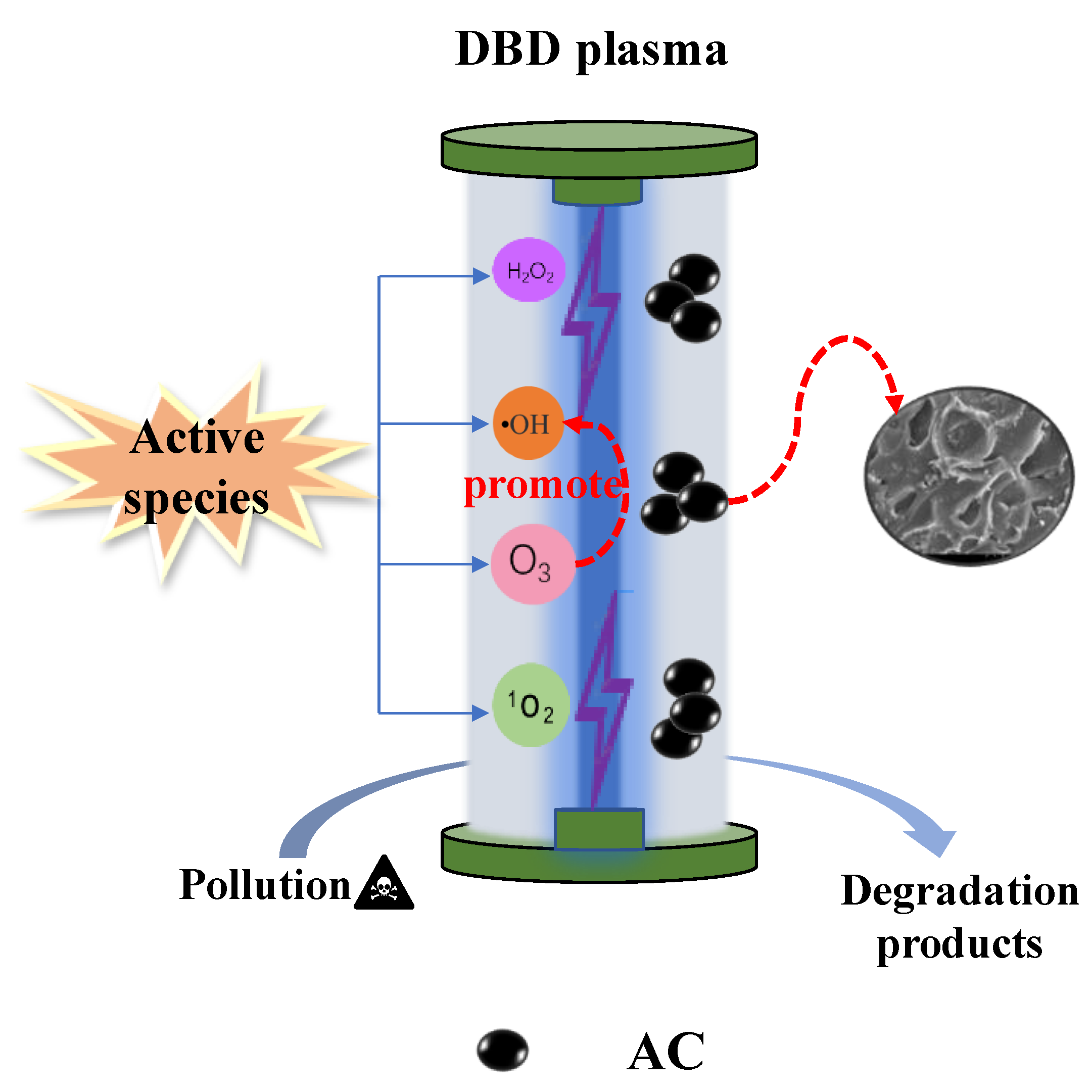 Catalysts 13 00010 g006