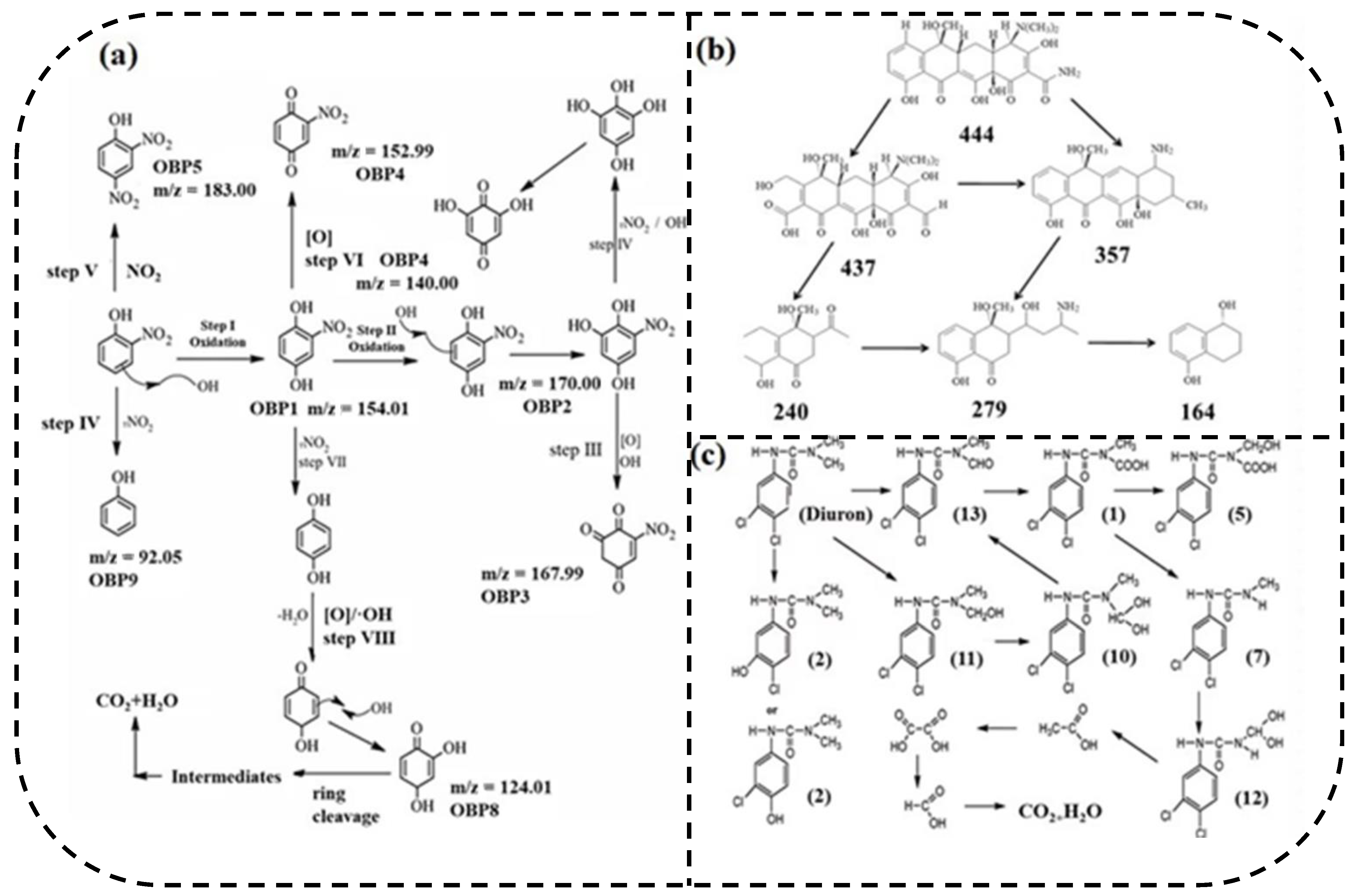 Catalysts 13 00010 g011