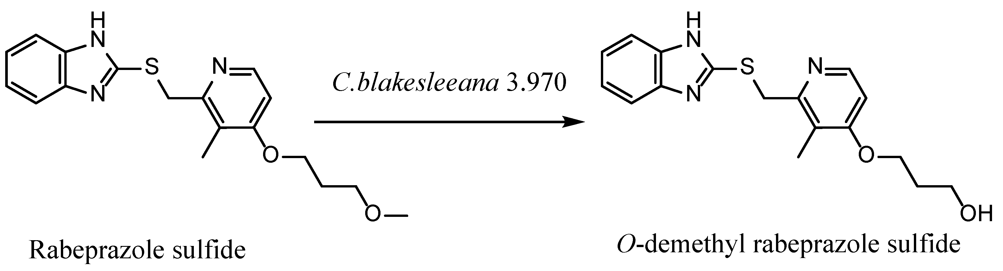 Catalysts 13 00015 g001