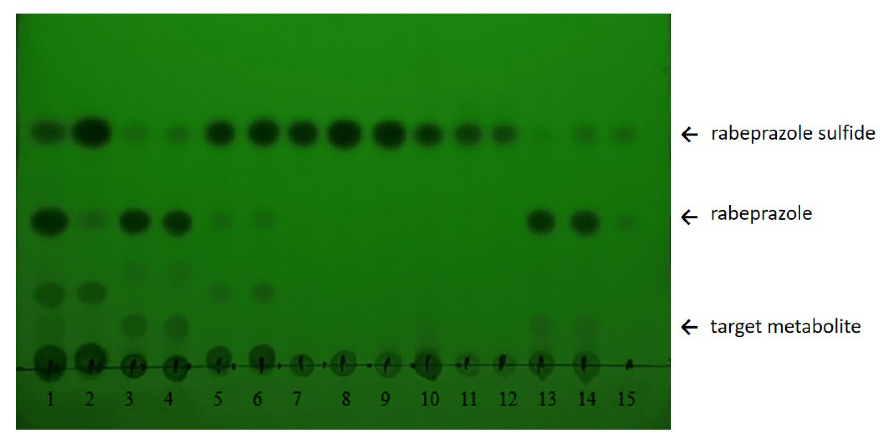 Catalysts 13 00015 g002