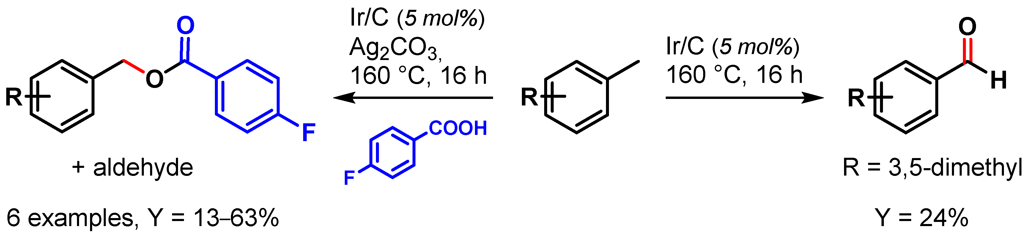 Catalysts 13 00016 sch002