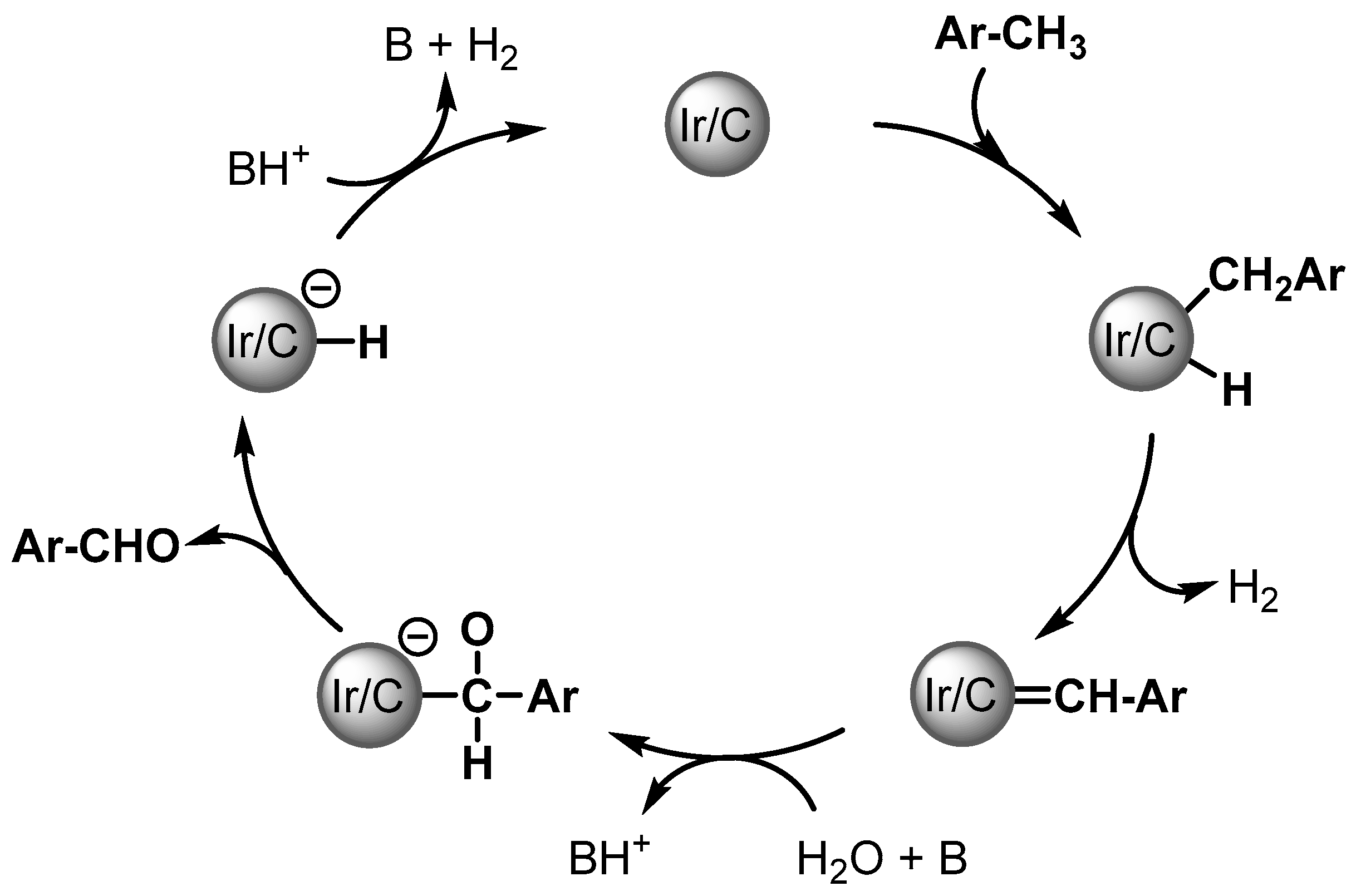 Catalysts 13 00016 sch003