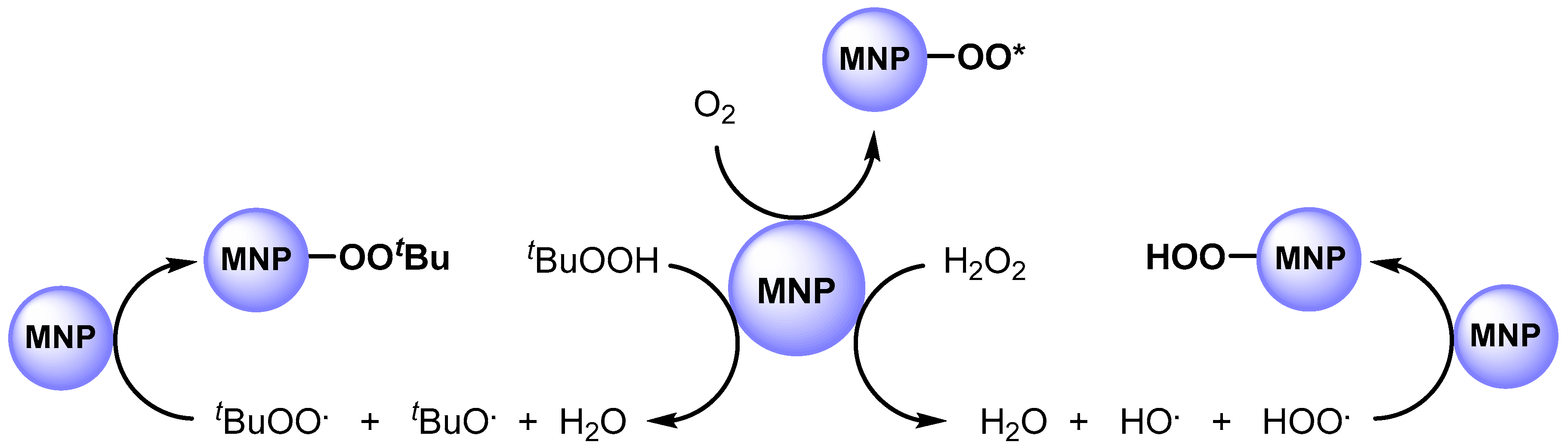 Catalysts 13 00016 sch004