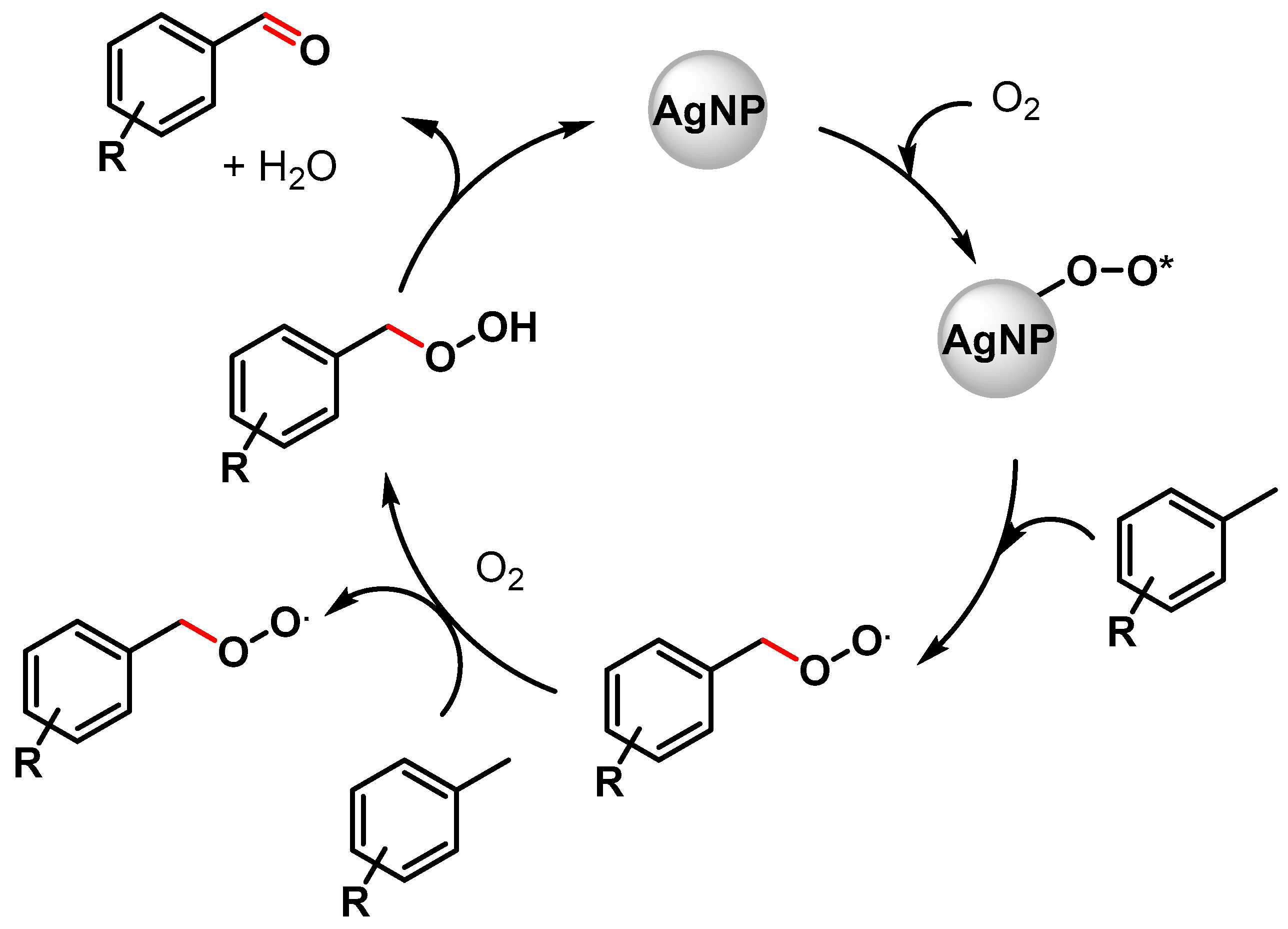 Catalysts 13 00016 sch006