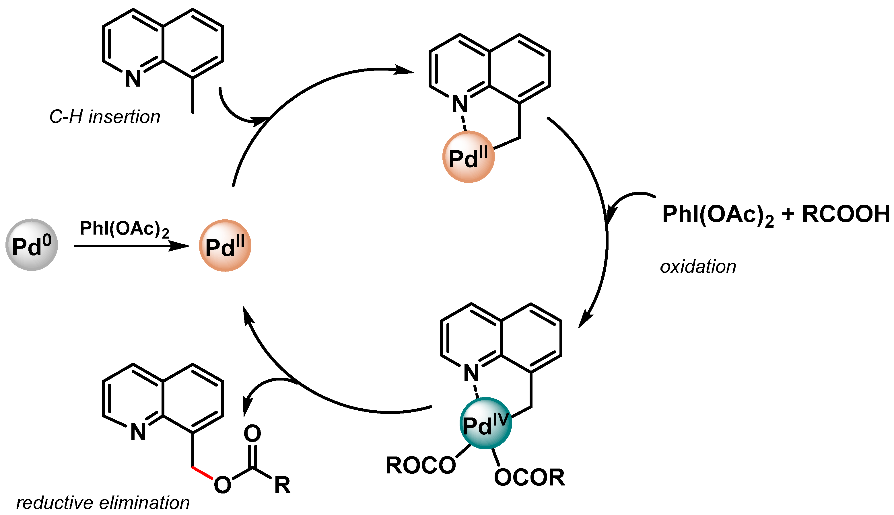 Catalysts 13 00016 sch011