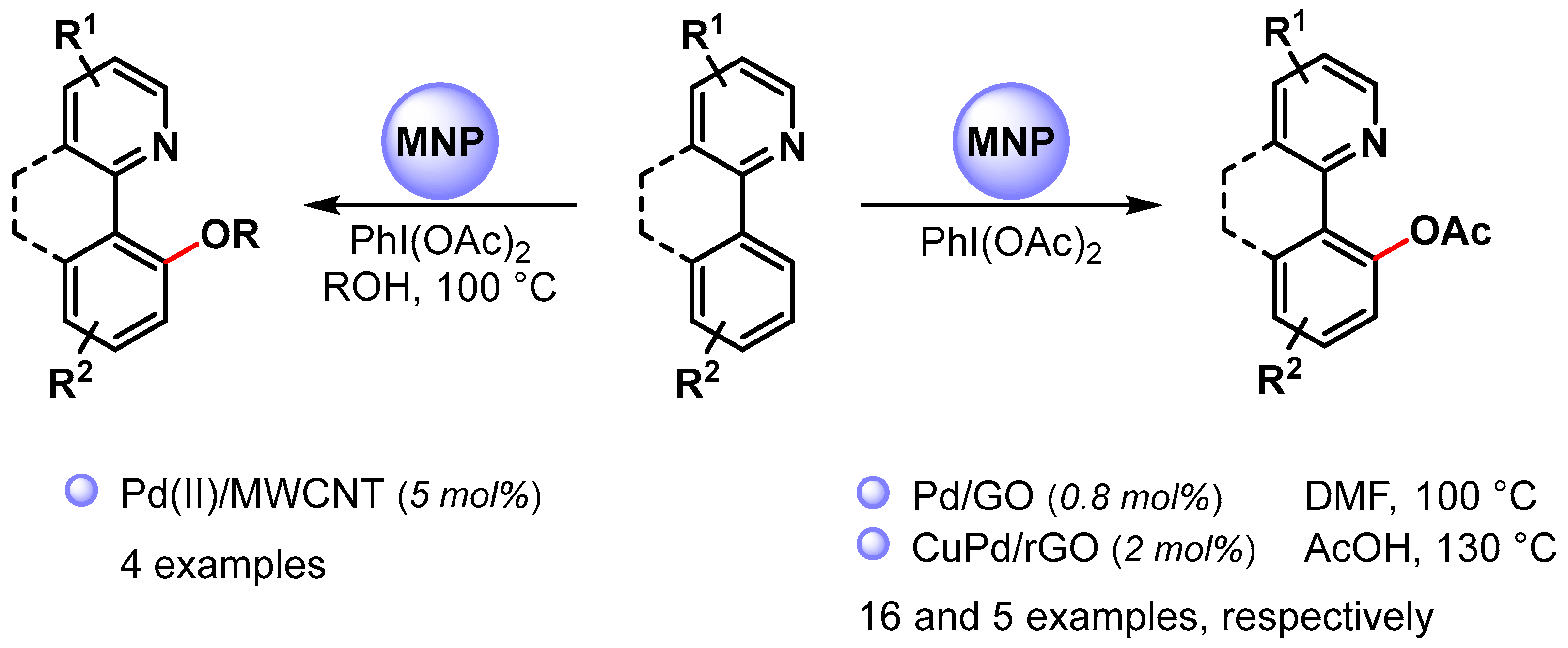 Catalysts 13 00016 sch016