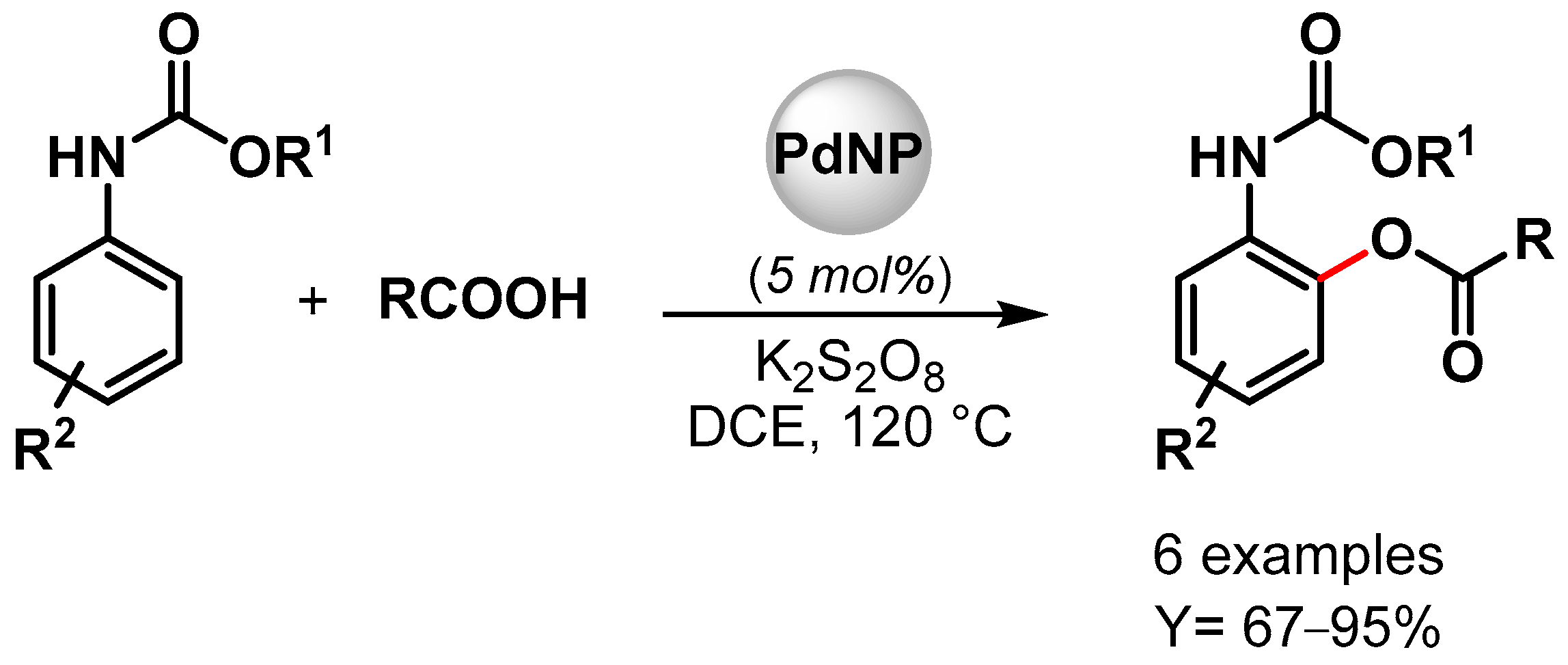Catalysts 13 00016 sch017