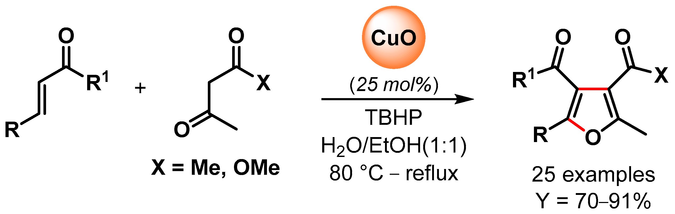 Catalysts 13 00016 sch018